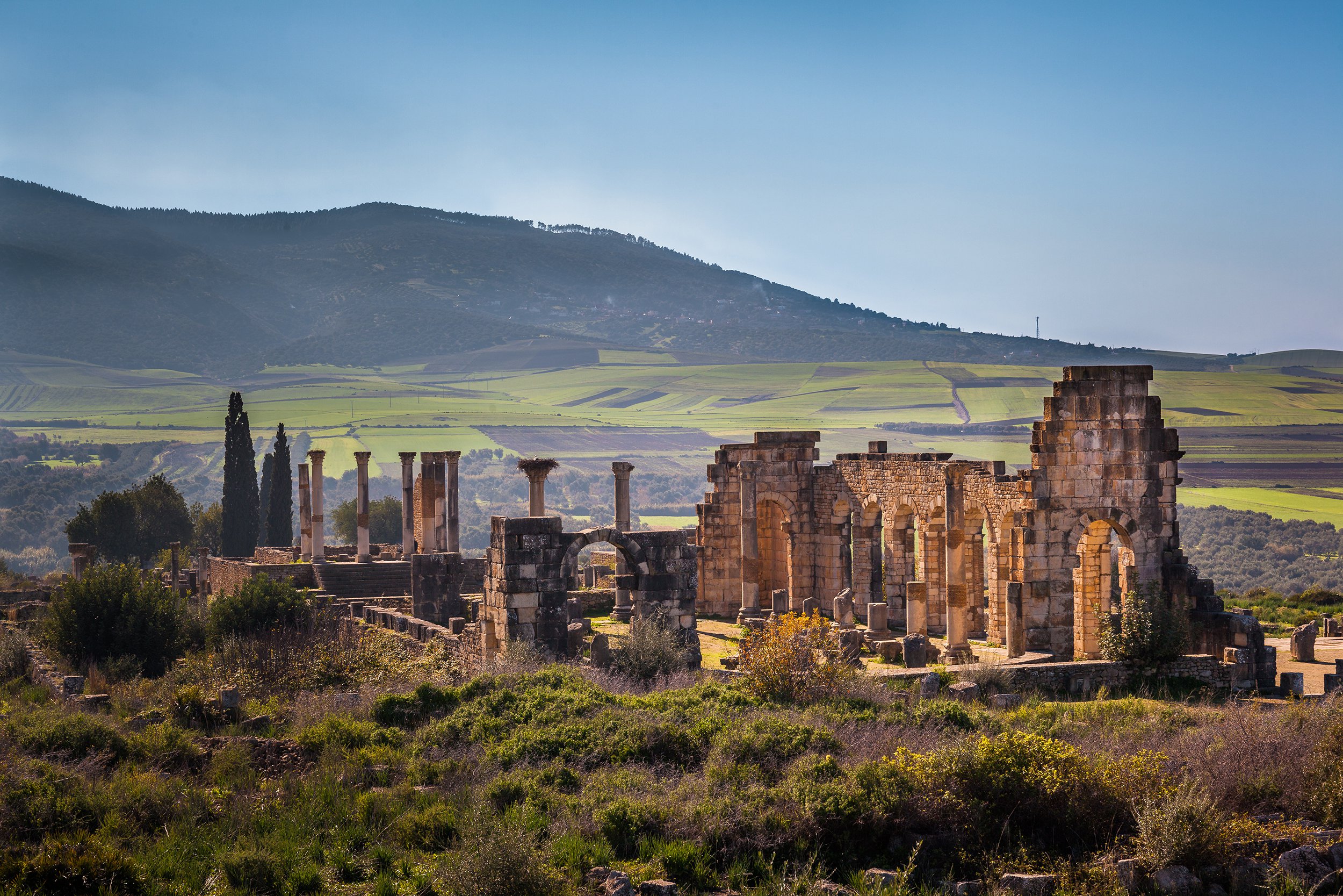Volubilis in Morocco