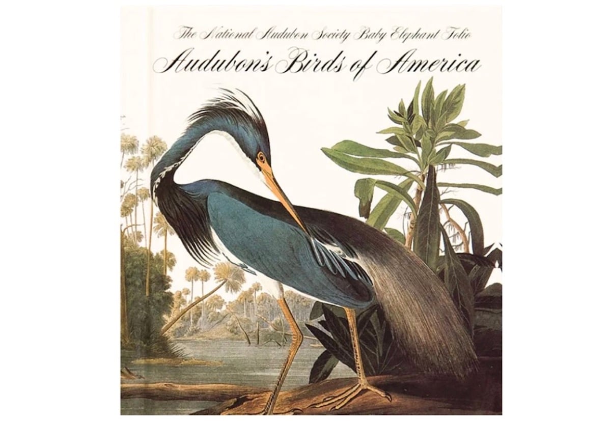 A vintage book cover titled "Audubon's Birds of America" features an illustrated heron amid tropical plants and water, with elegant script and decorative foliage—a classic design often found among expensive collectibles.