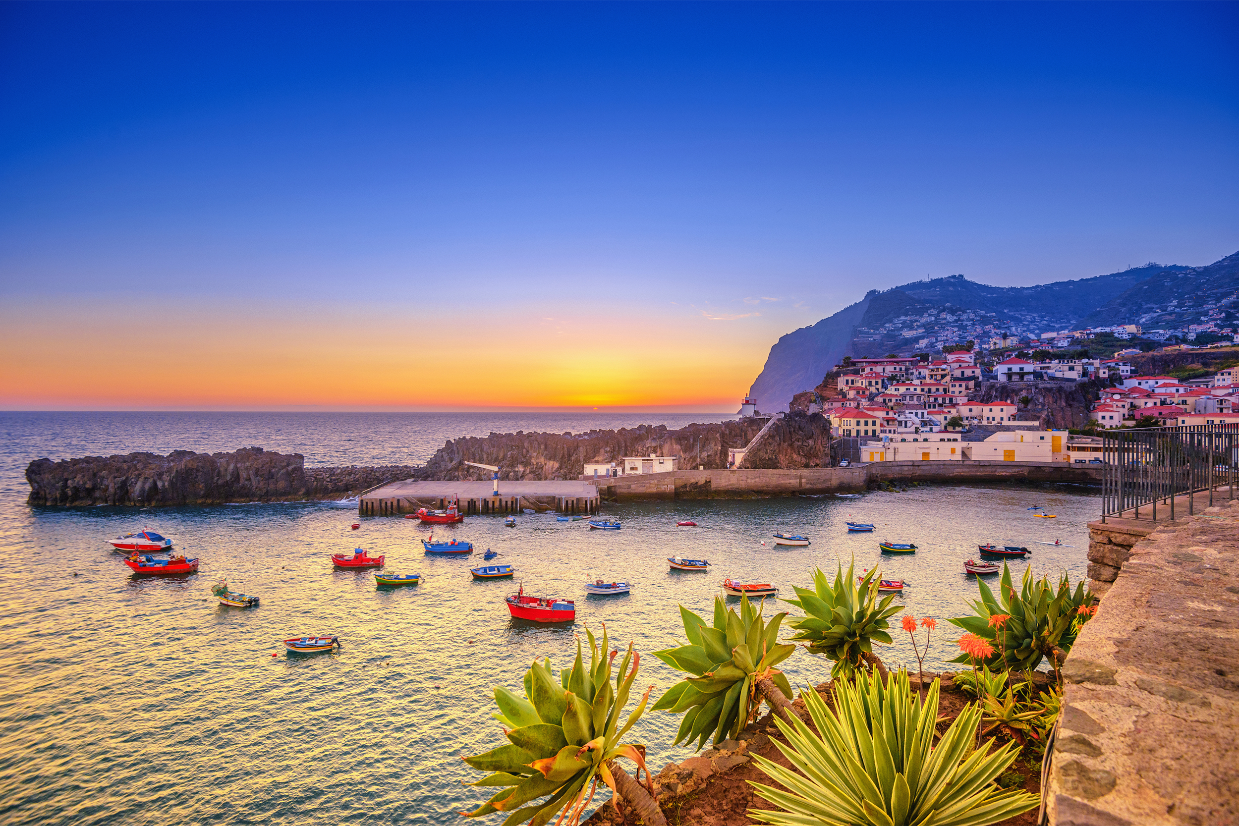 Câmara de Lobos on Madeira, Portugal during sunset, many colorful boats in the ocean, walkway and plants in the foreground on the right