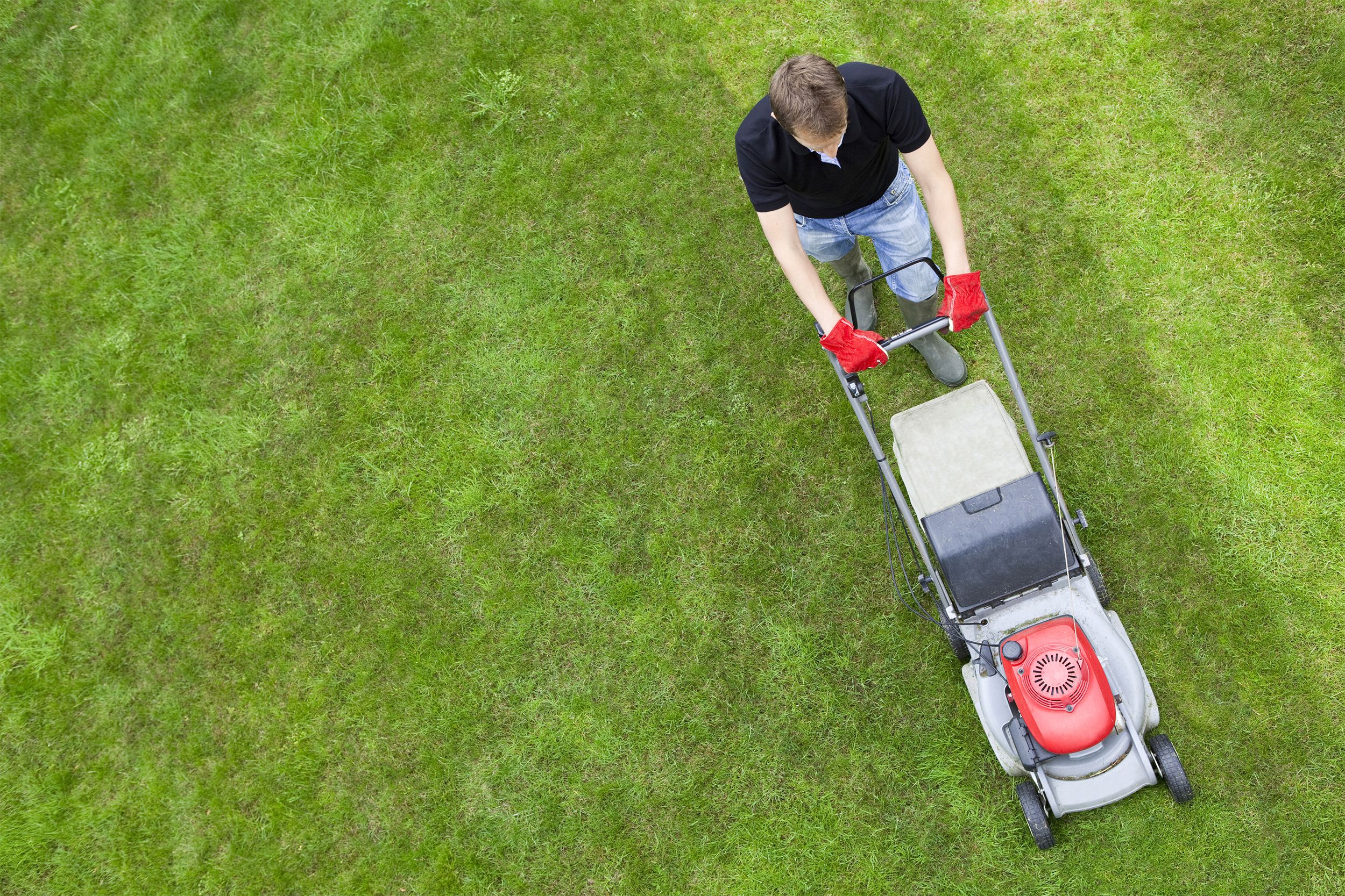 Man mowing lawn