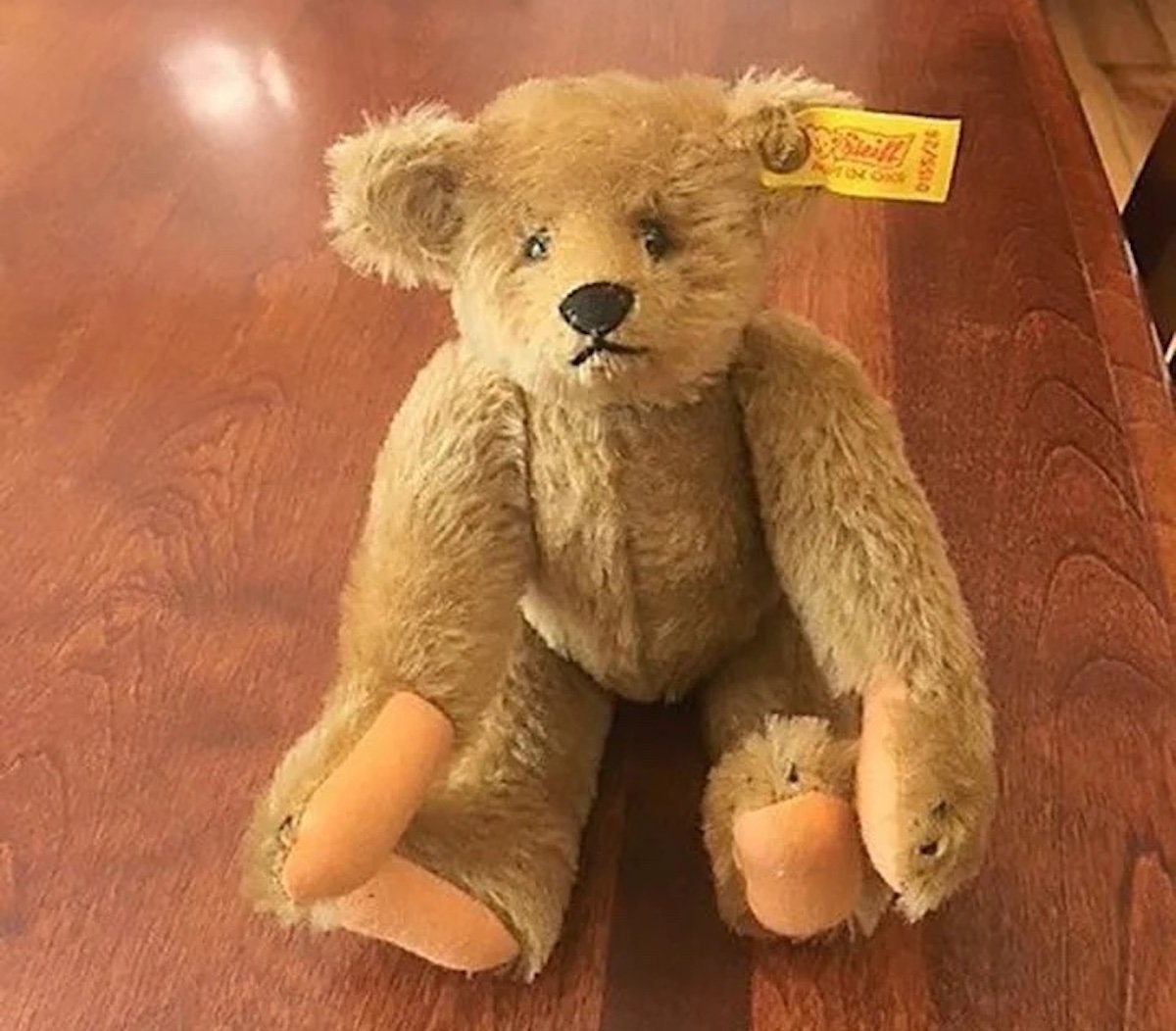 A vintage brown teddy bear with a yellow Steiff tag in its left ear, known among expensive collectibles, sits on a wooden table. The bear has black eyes, a stitched nose and mouth, and beige paw pads.