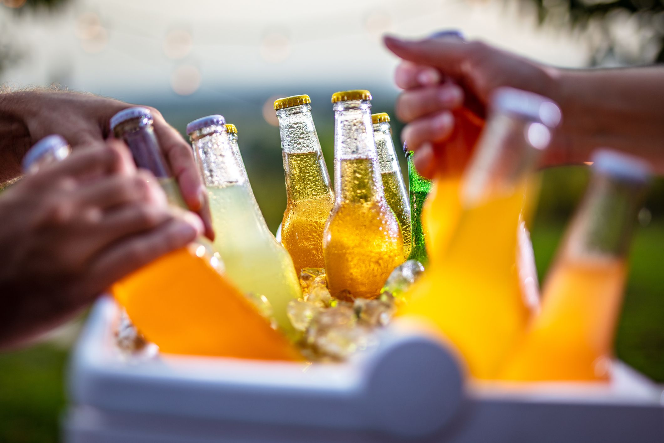Grabbing refreshing ice cold drinks bottles from cooler bag