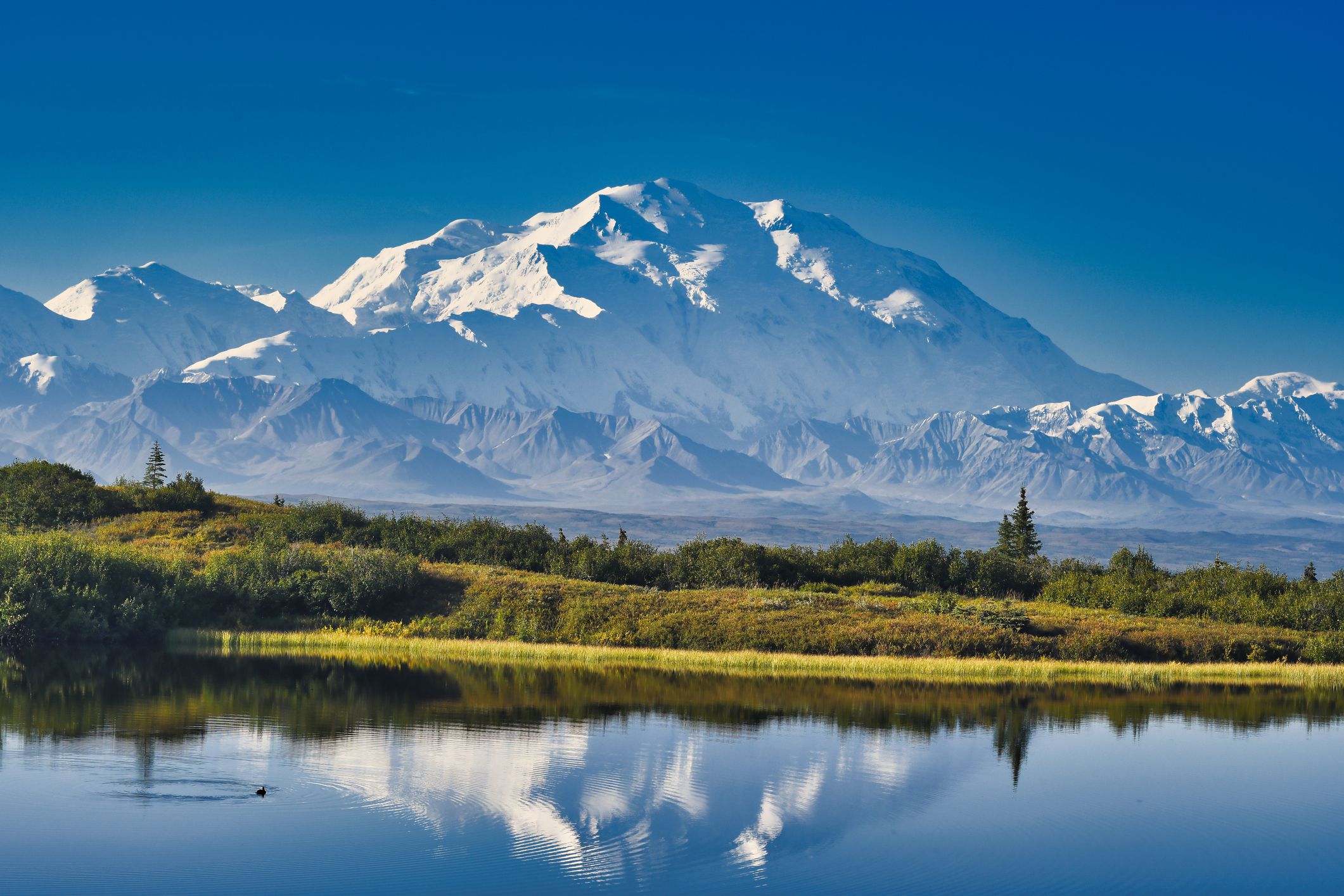 Denali as seen from Reflection Pond in Denali National Park, Alaska.