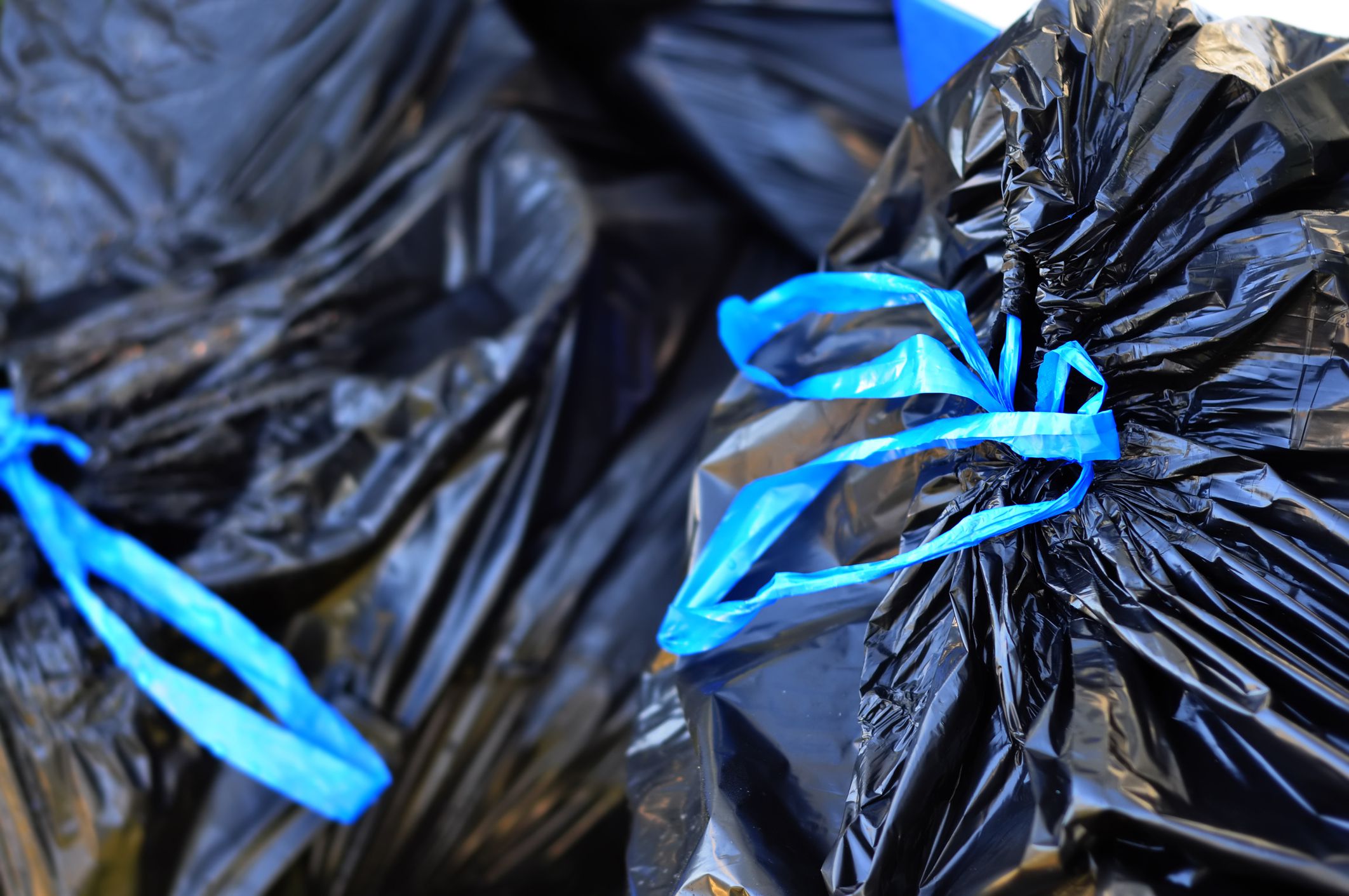 Black Garbage bags.