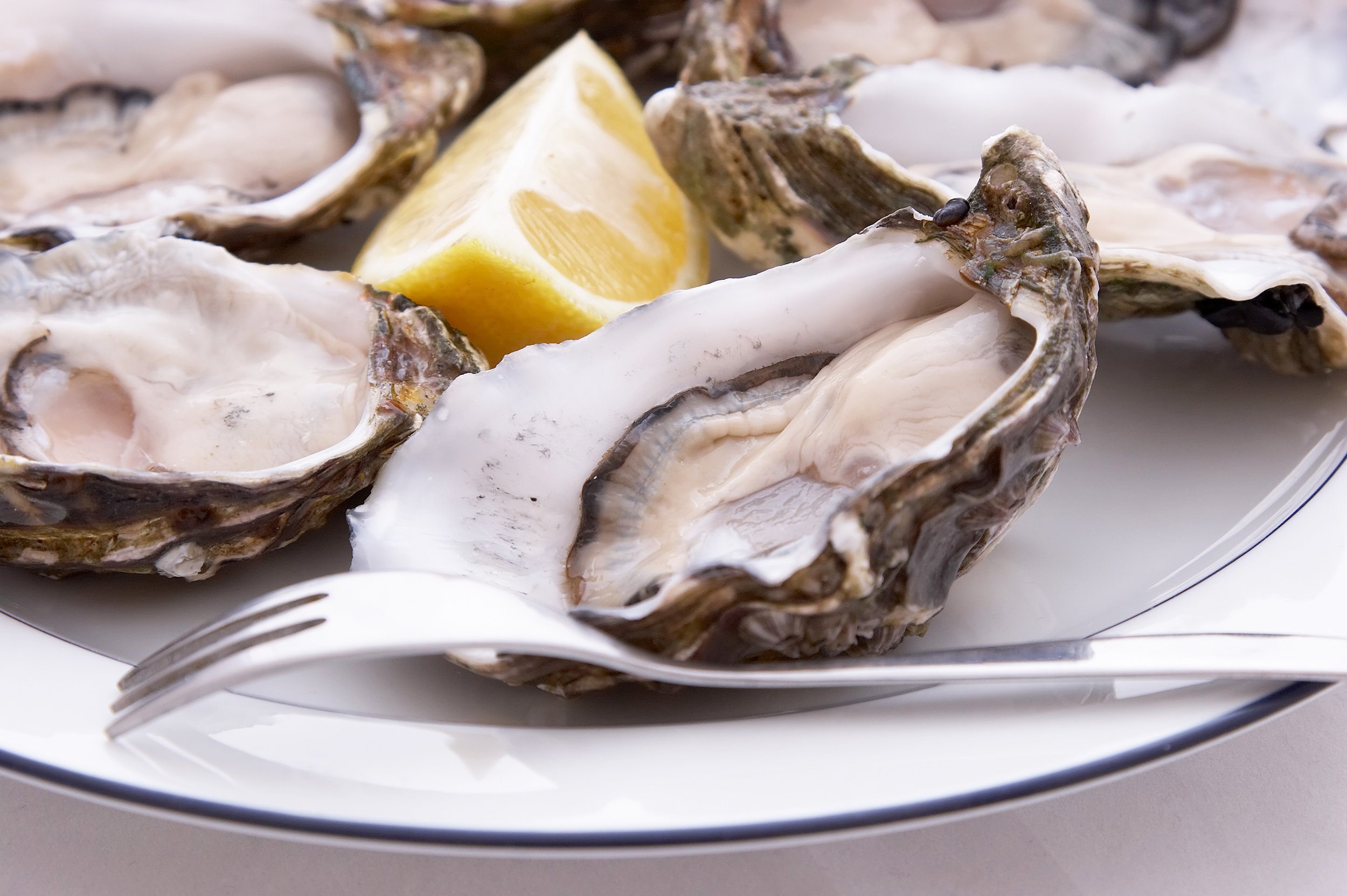 Oysters on the Half Shell