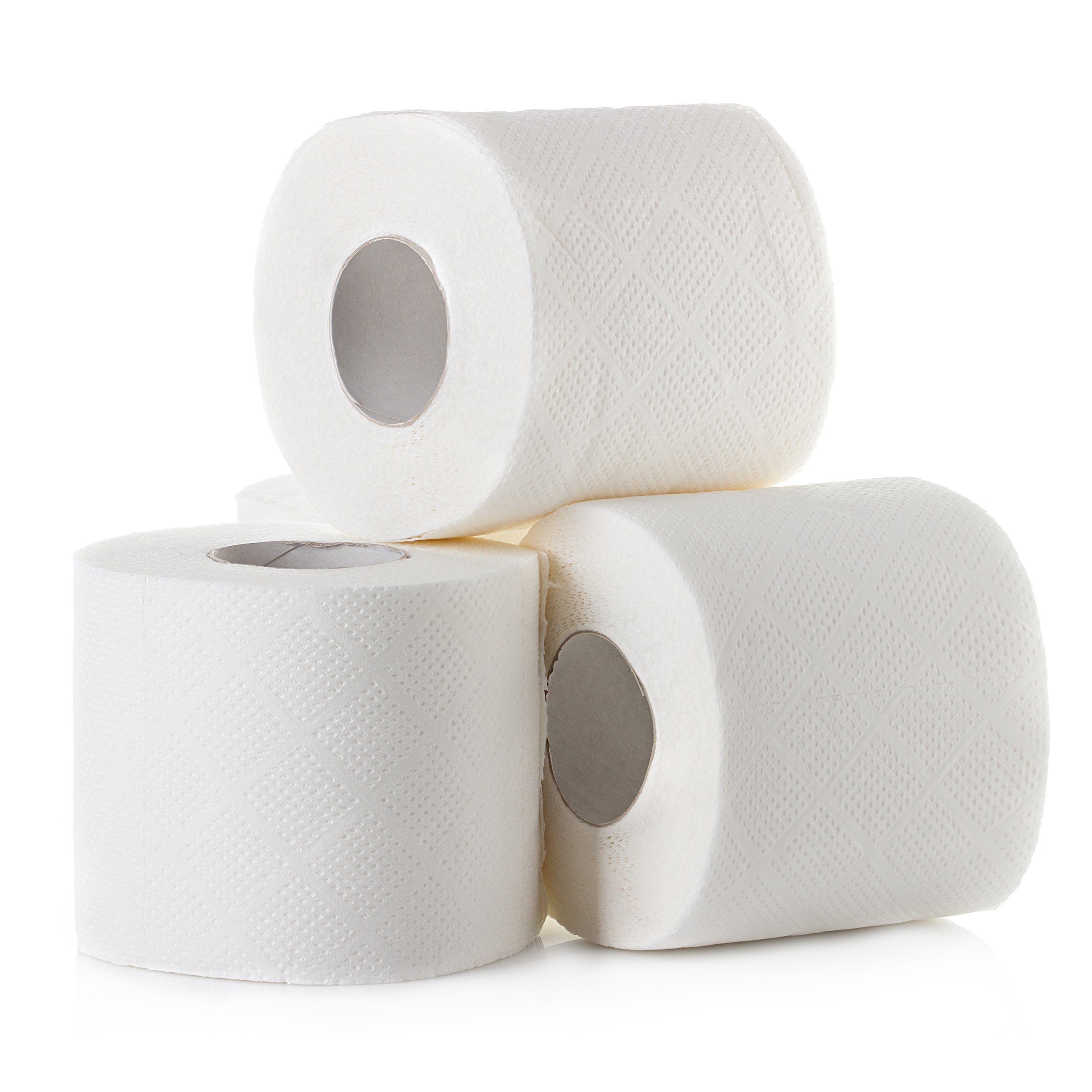 toilet paper rolls