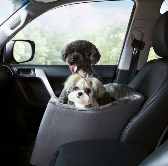 Arlee Home + Pet Booster and Car Seat for bringing your pet with you in the car