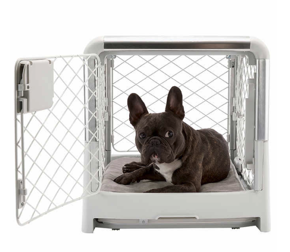 Diggs Revol Collapsible Dog Crate and Pad Set with a little French Bulldog inside