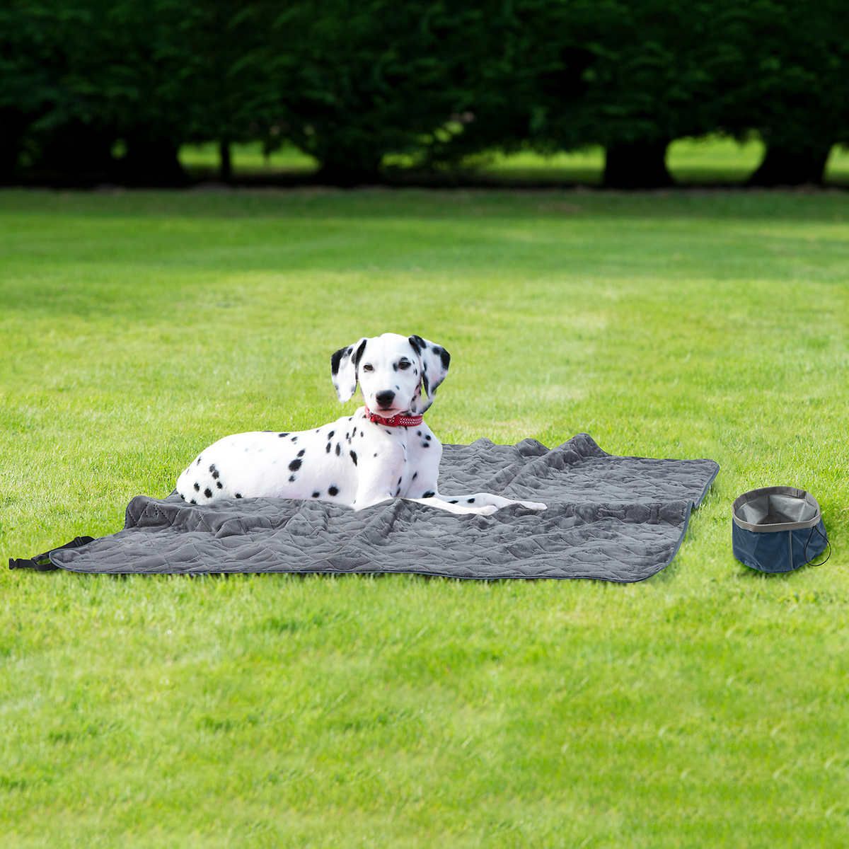 5. Travel Pet Throw With Collapsible Bowl