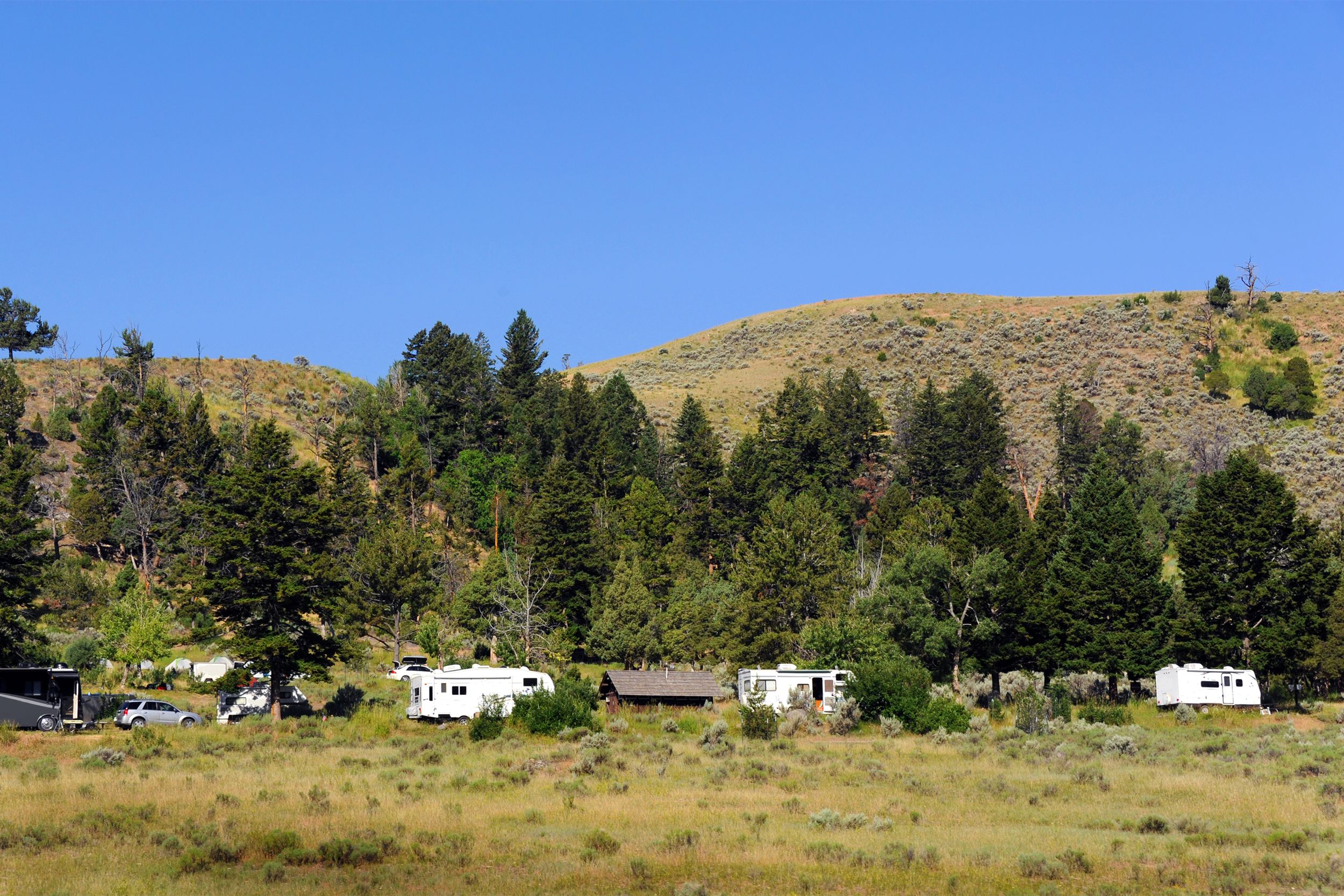 RVs in Yellowstone Park