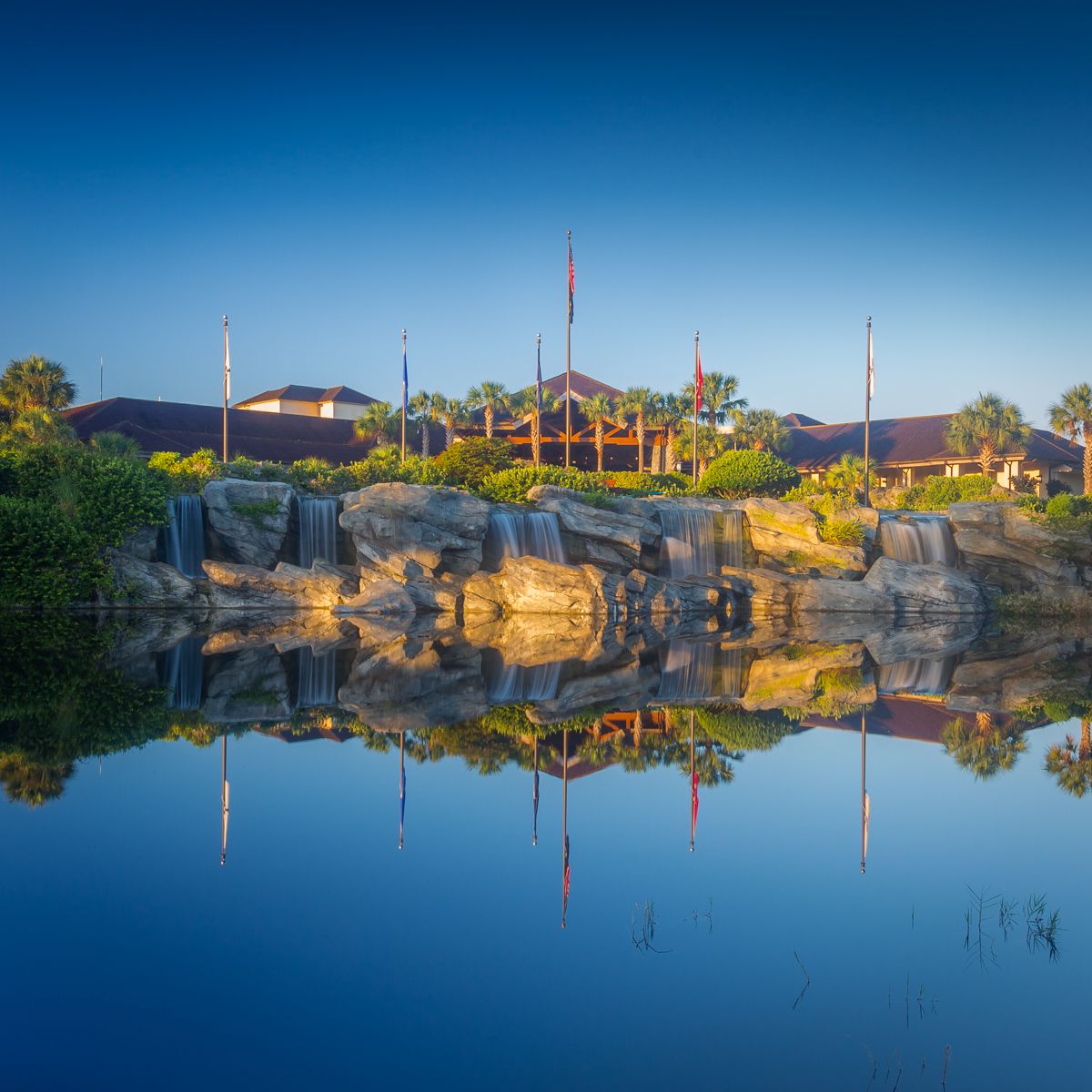 Disney Shades of Green