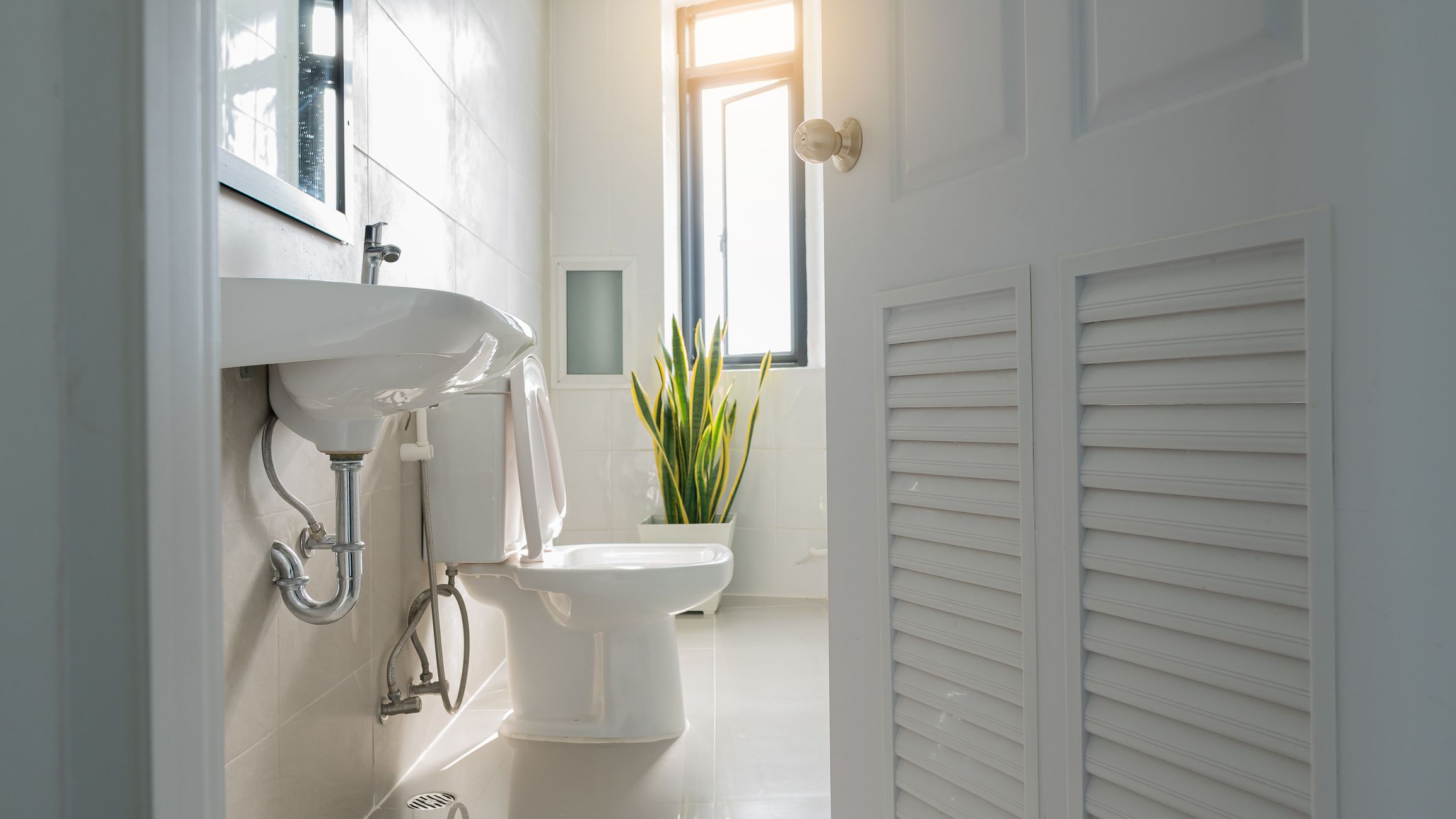 White bathroom door that overlooks the sink and toilet lit by the window.