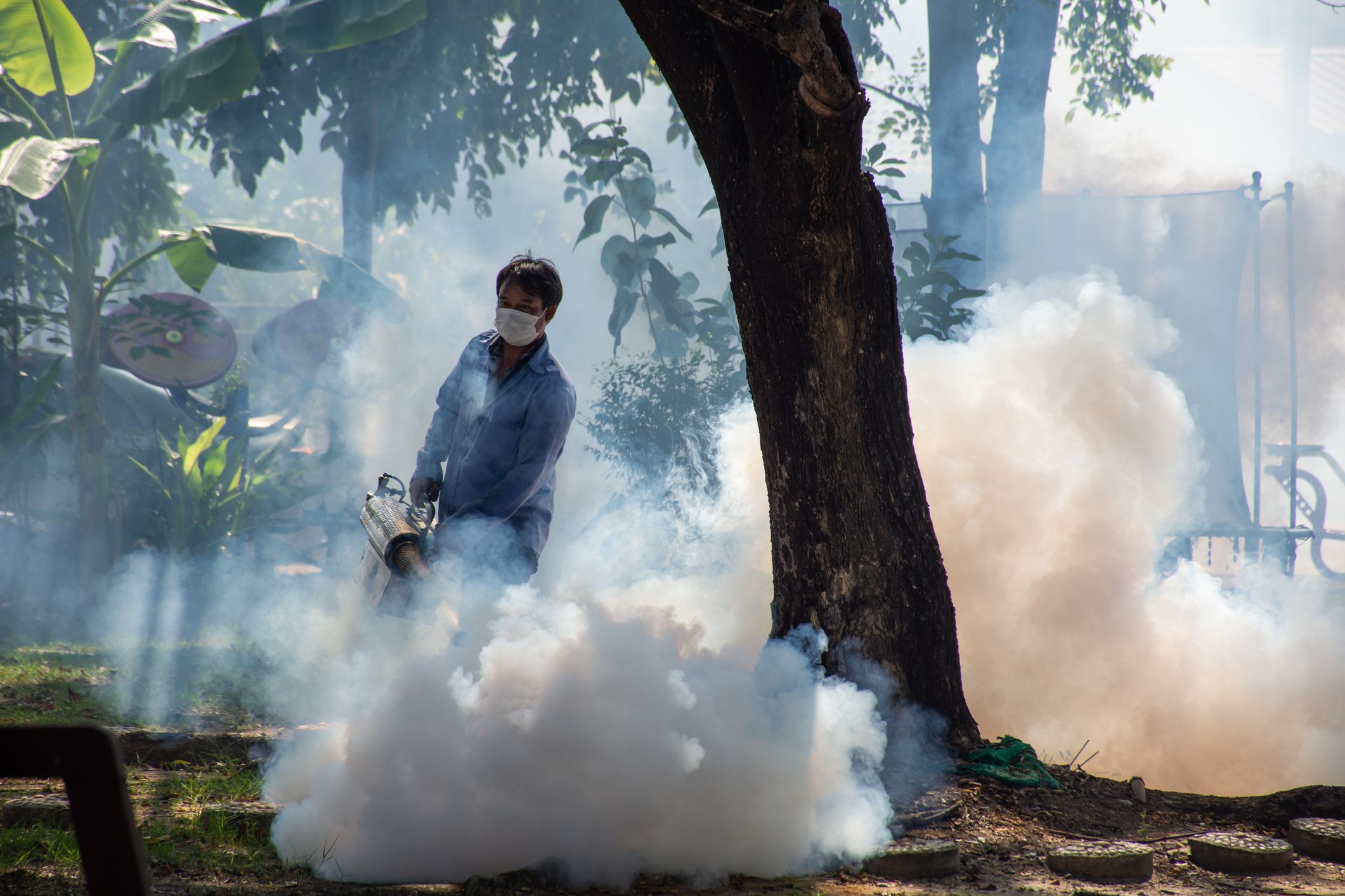 Bangkok, Thailand - November 19, 2016 : Unidentified people fogging DDT spray for mosquito kill and protect by control mosquito is a carrier of Malaria, Encephalitis, Dengue and Zika virus in village.