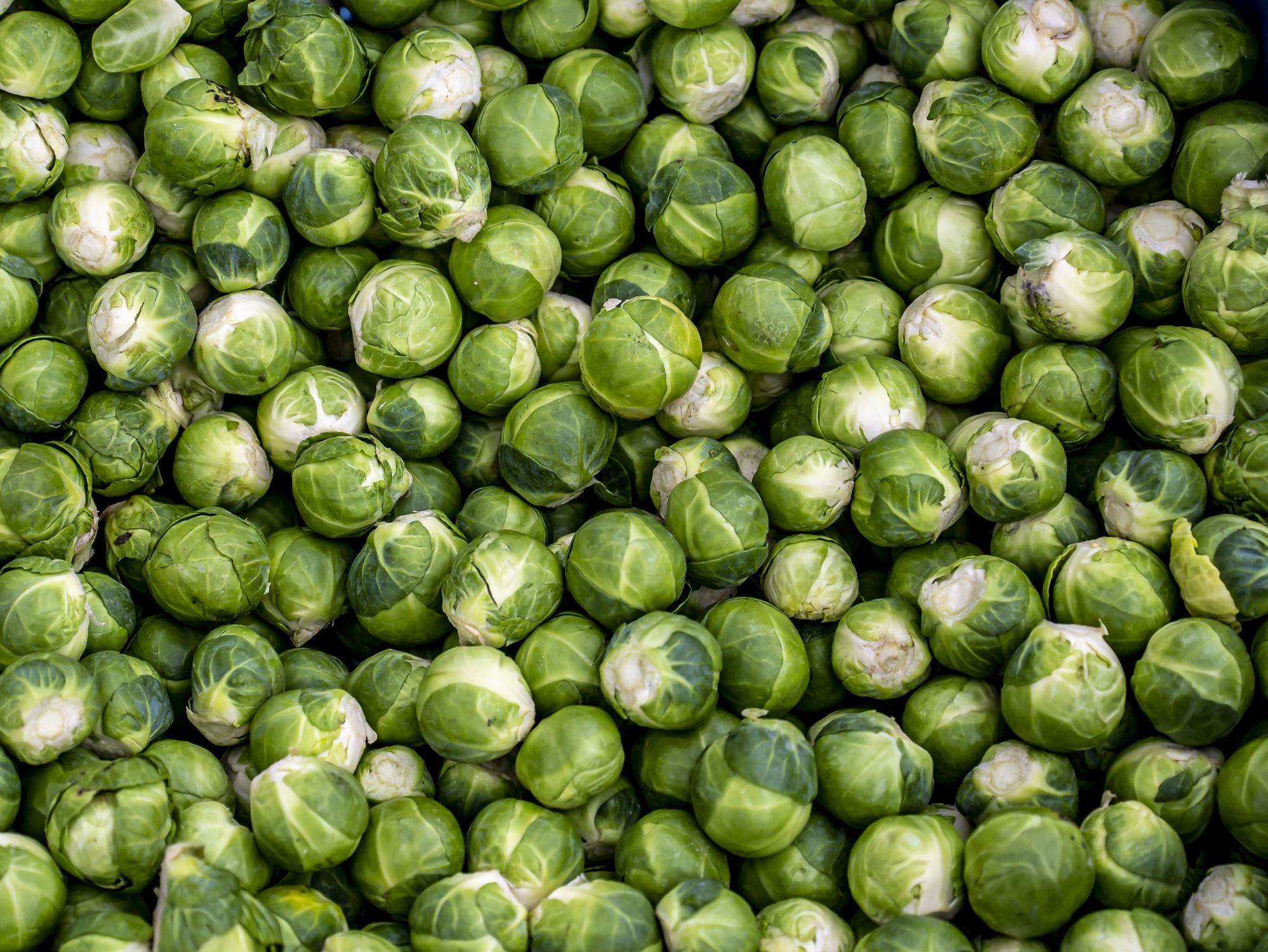 Brussel sprouts in a box.