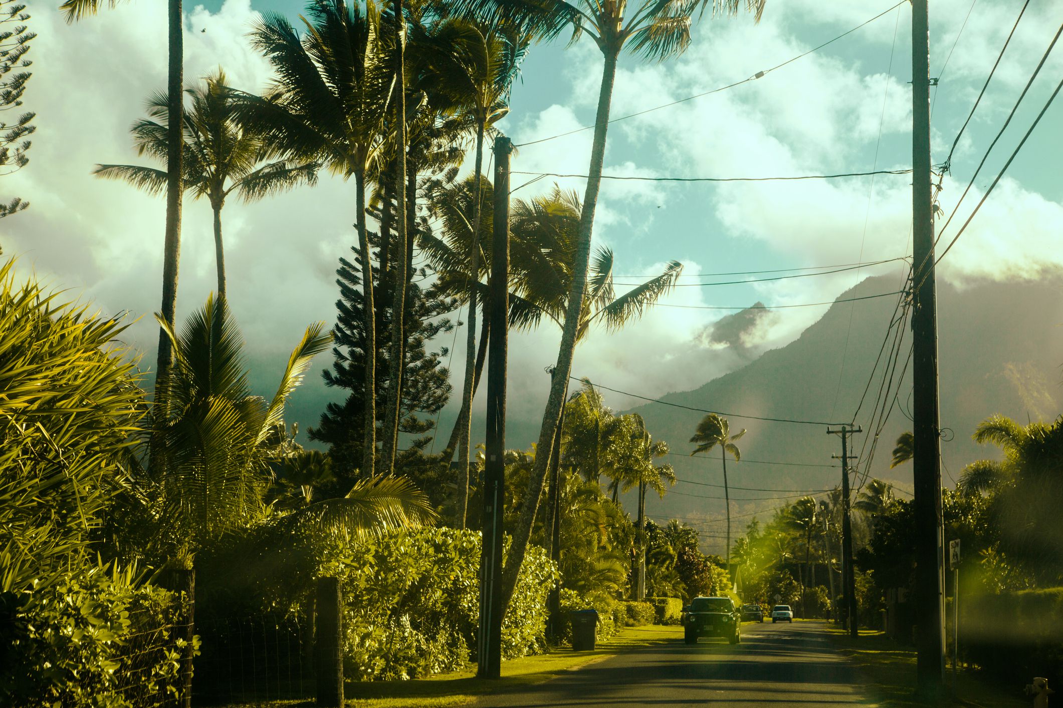 Hawaii, kauai island,road trip, on the road in Hanalei bay, photo took from the inside of the var