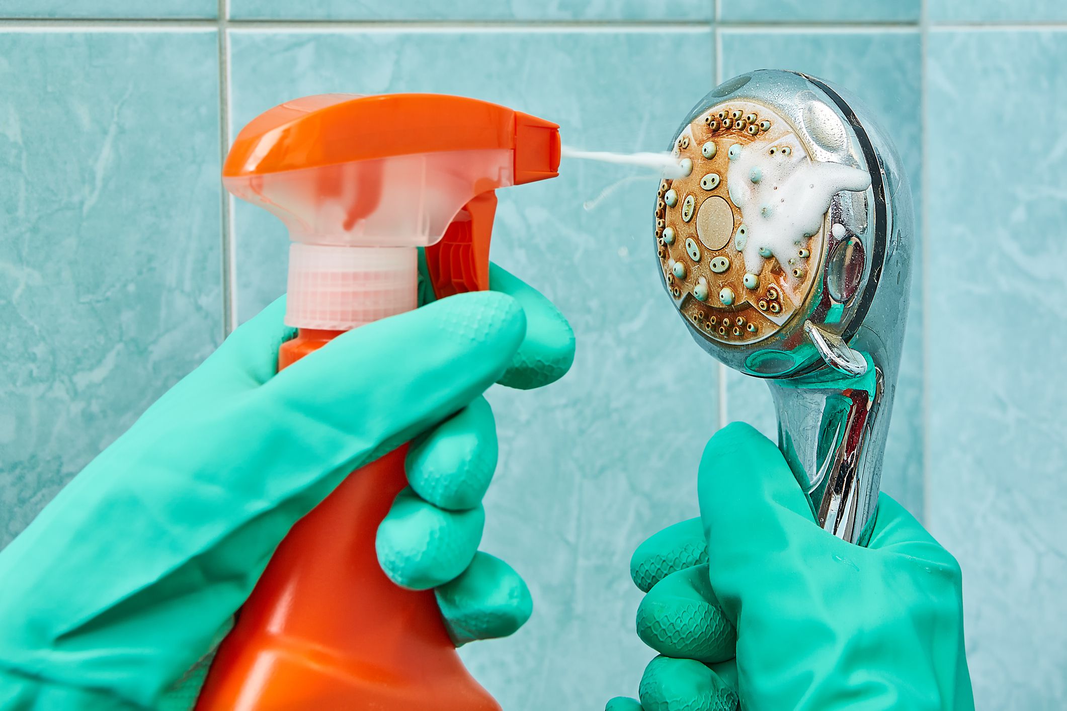 Hands in green rubber protective gloves wash the head of the shower with the help of a cleaning spray.