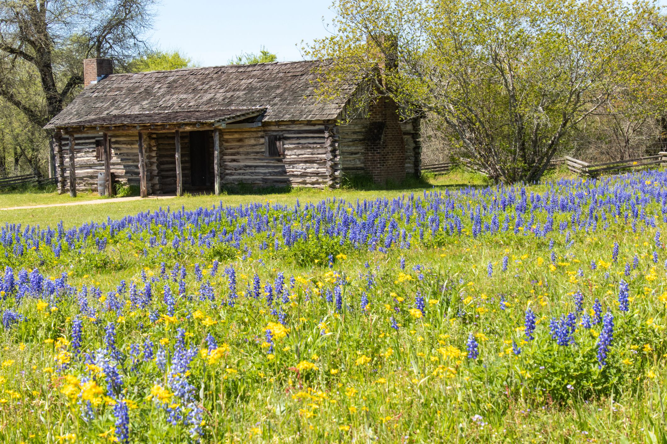 old log cabin in front of flowers