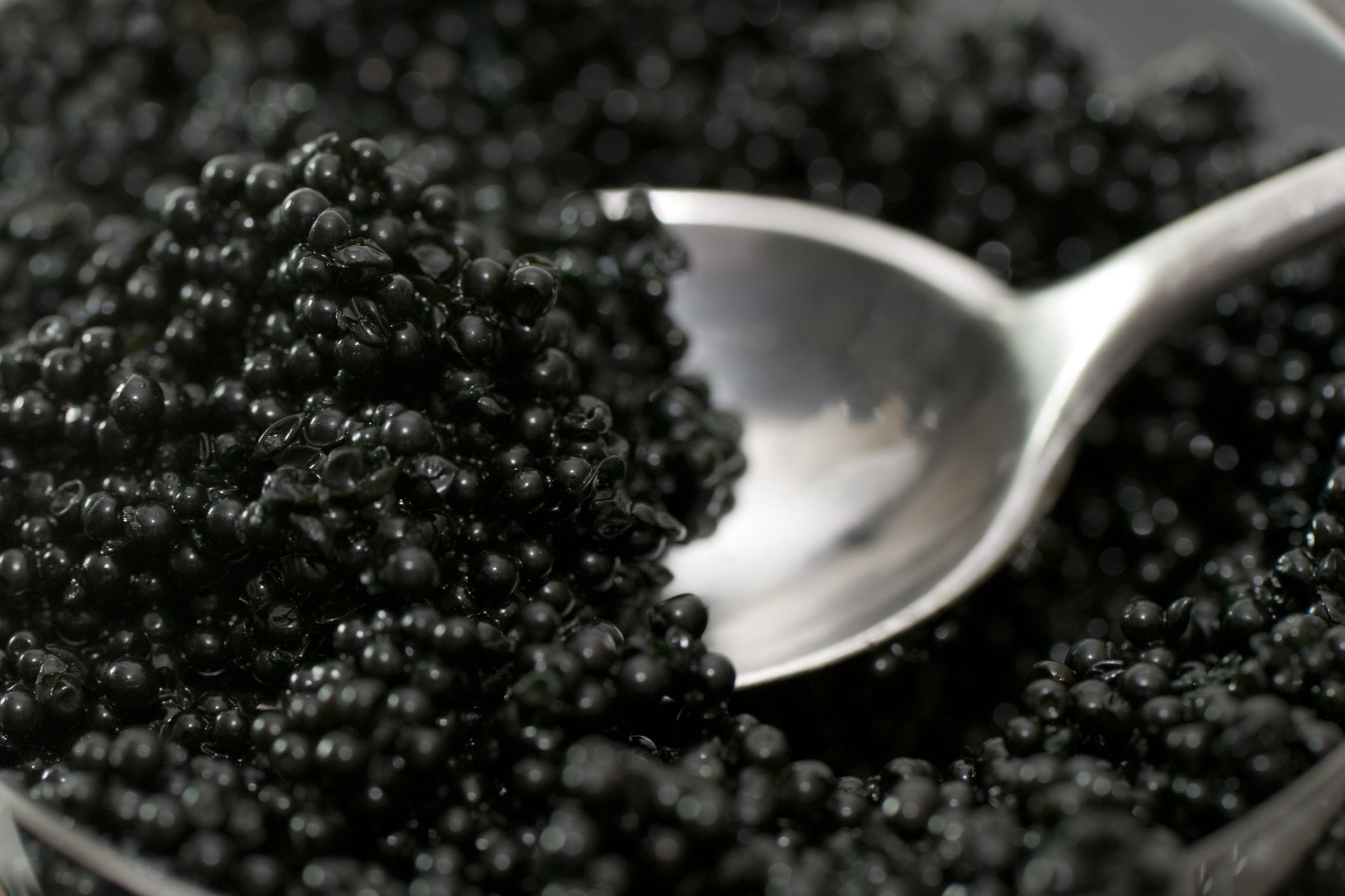 caviar