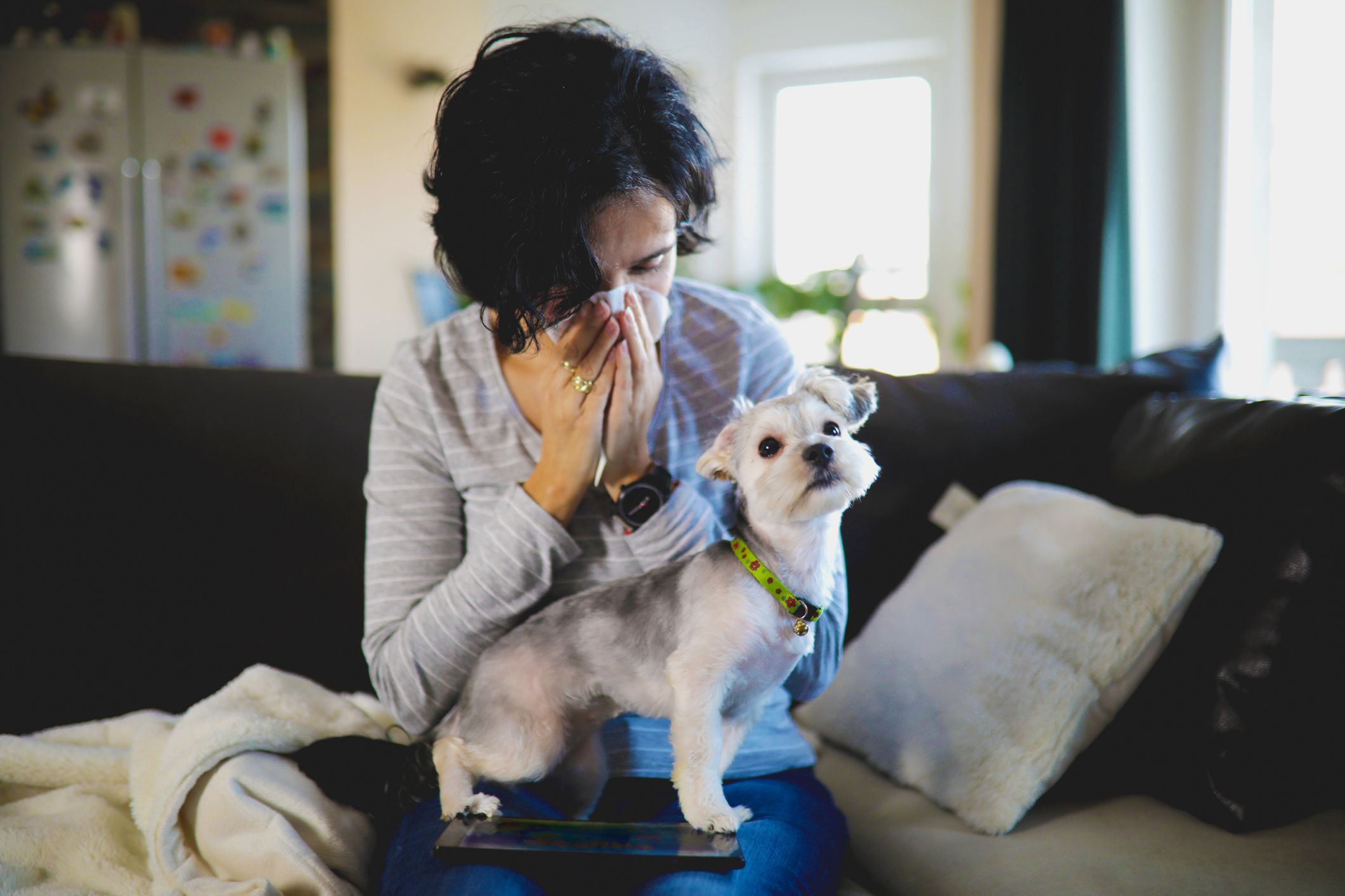 woman sneezing on couch, dog in lap