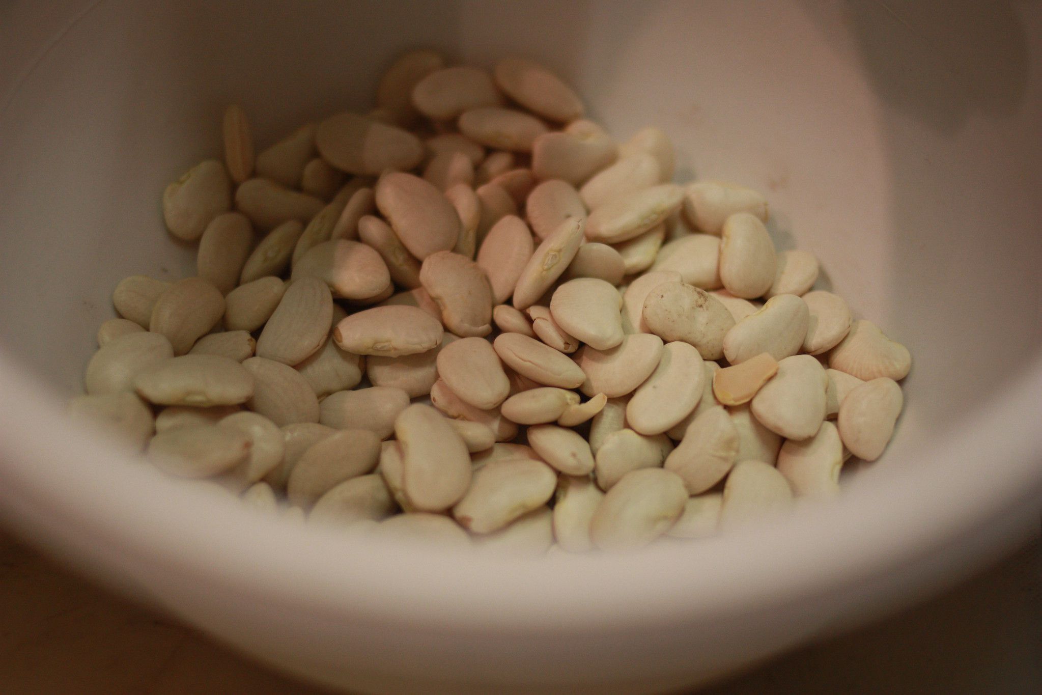 Lima Beans