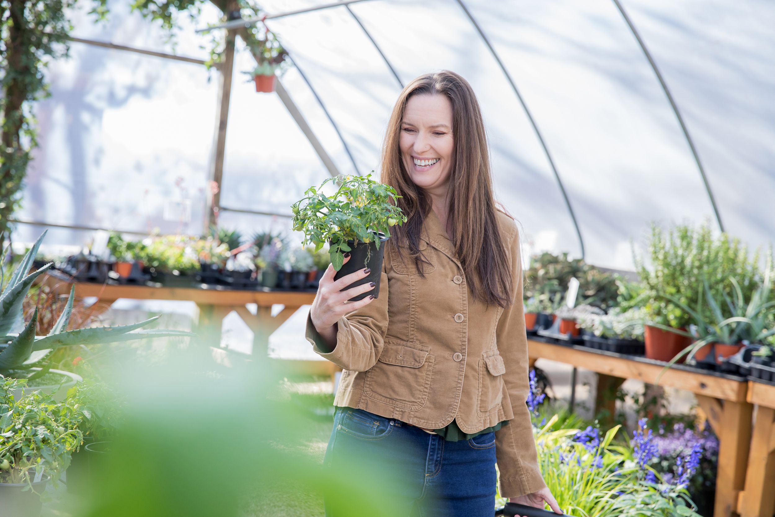 woman browses plants and flowers in greenhouse nursery at garden center