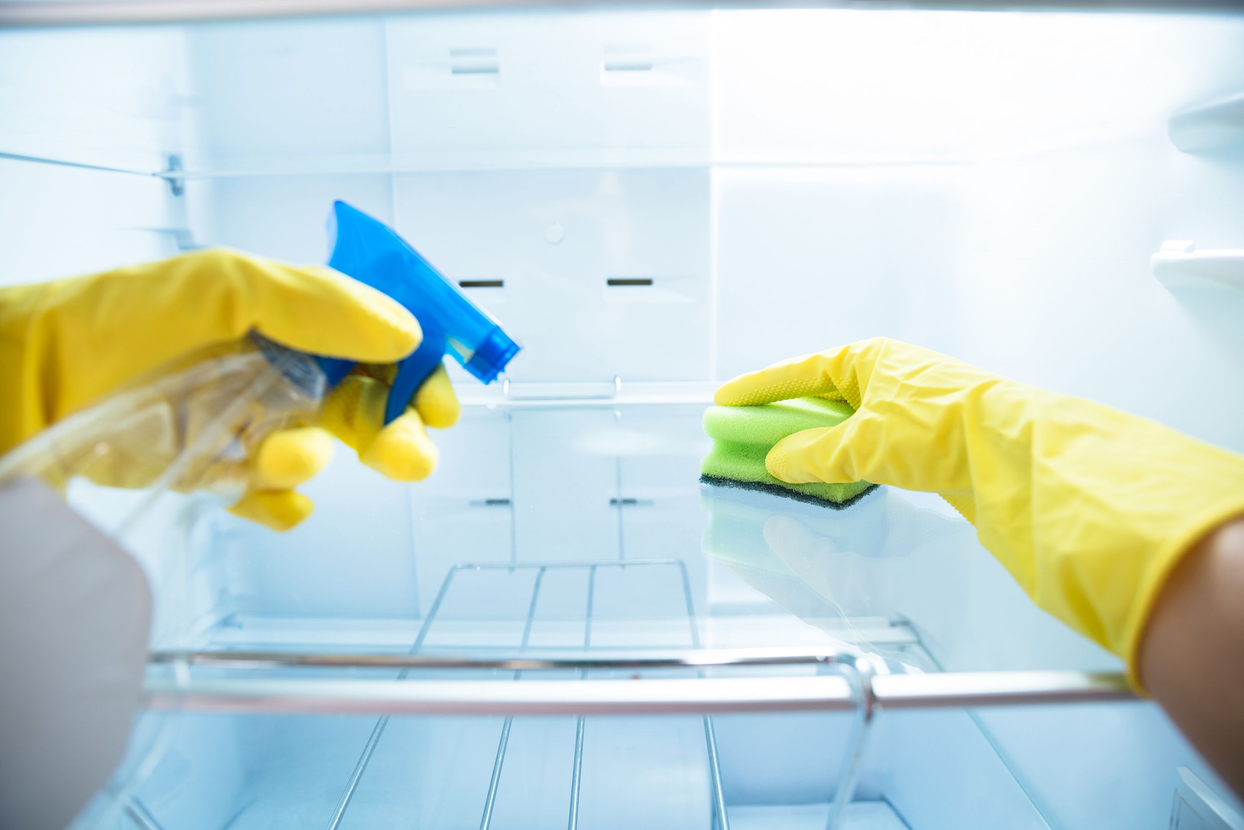 hands washing the refrigerator