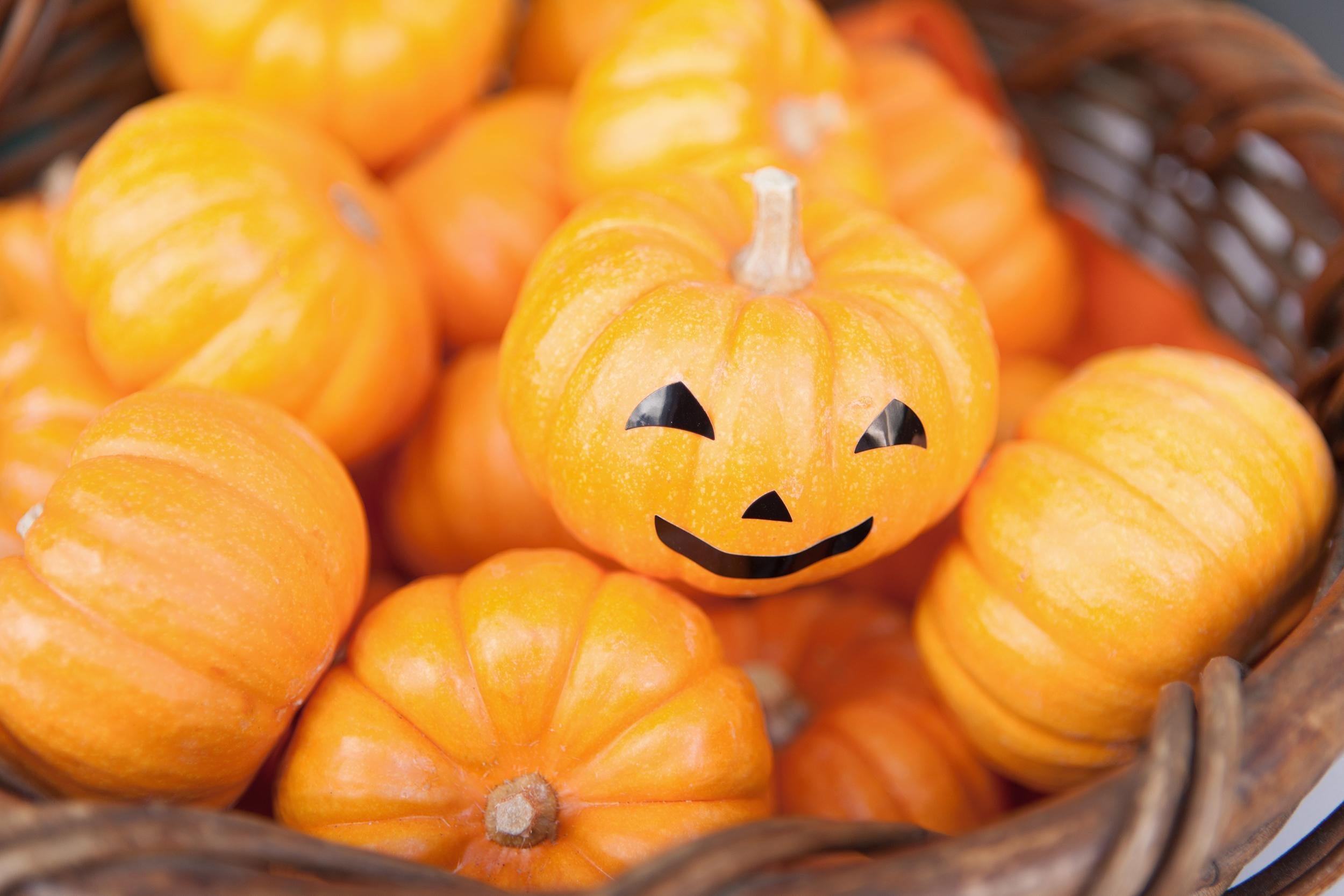 decoration little pumpkins of Halloween