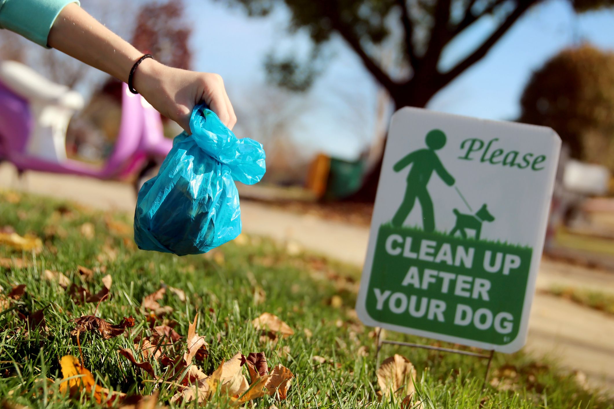 Girl cleaning up poops after a dog outside.