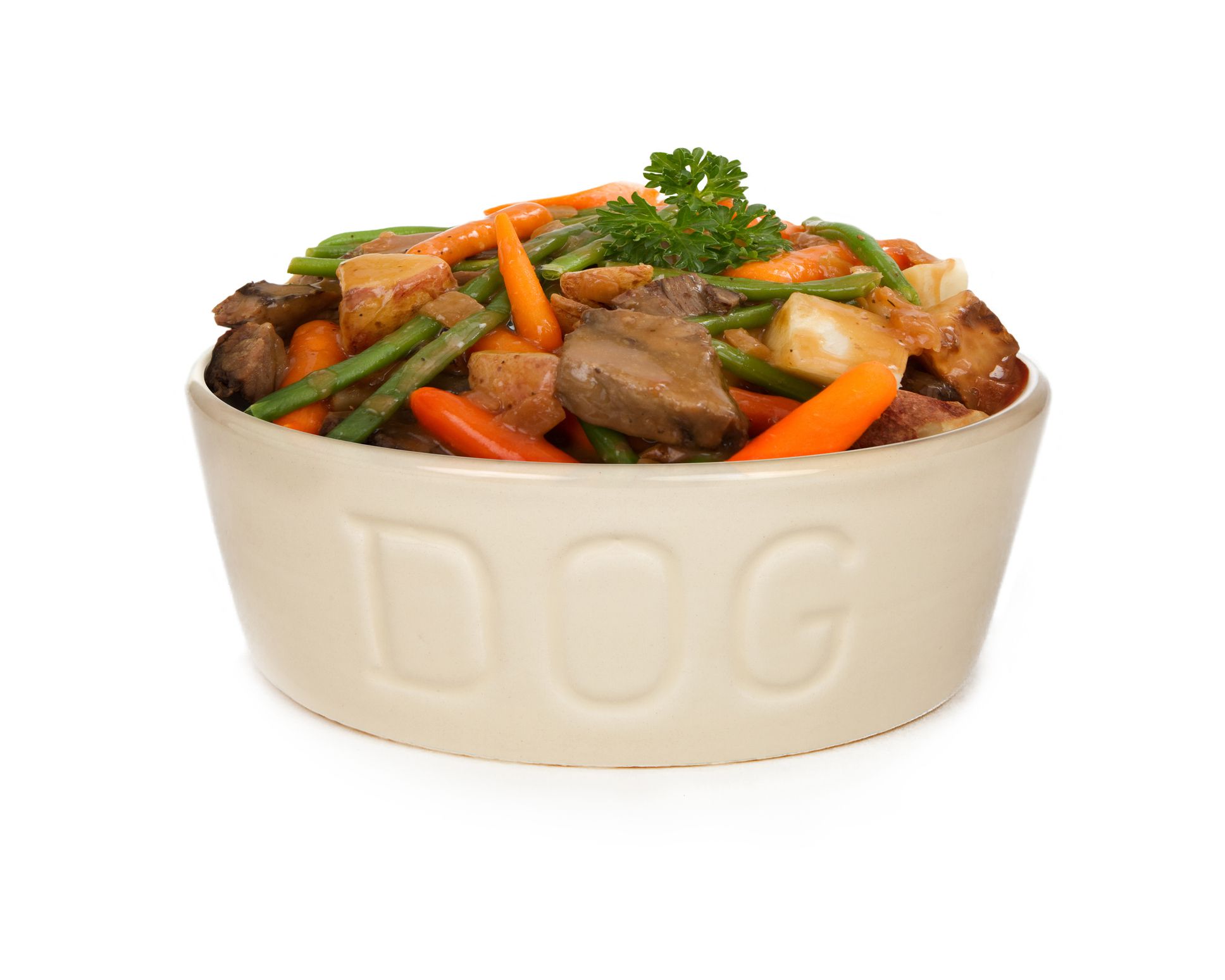 Heaping bowl of fresh homemade dog food - Beef stew with carrots and green beans