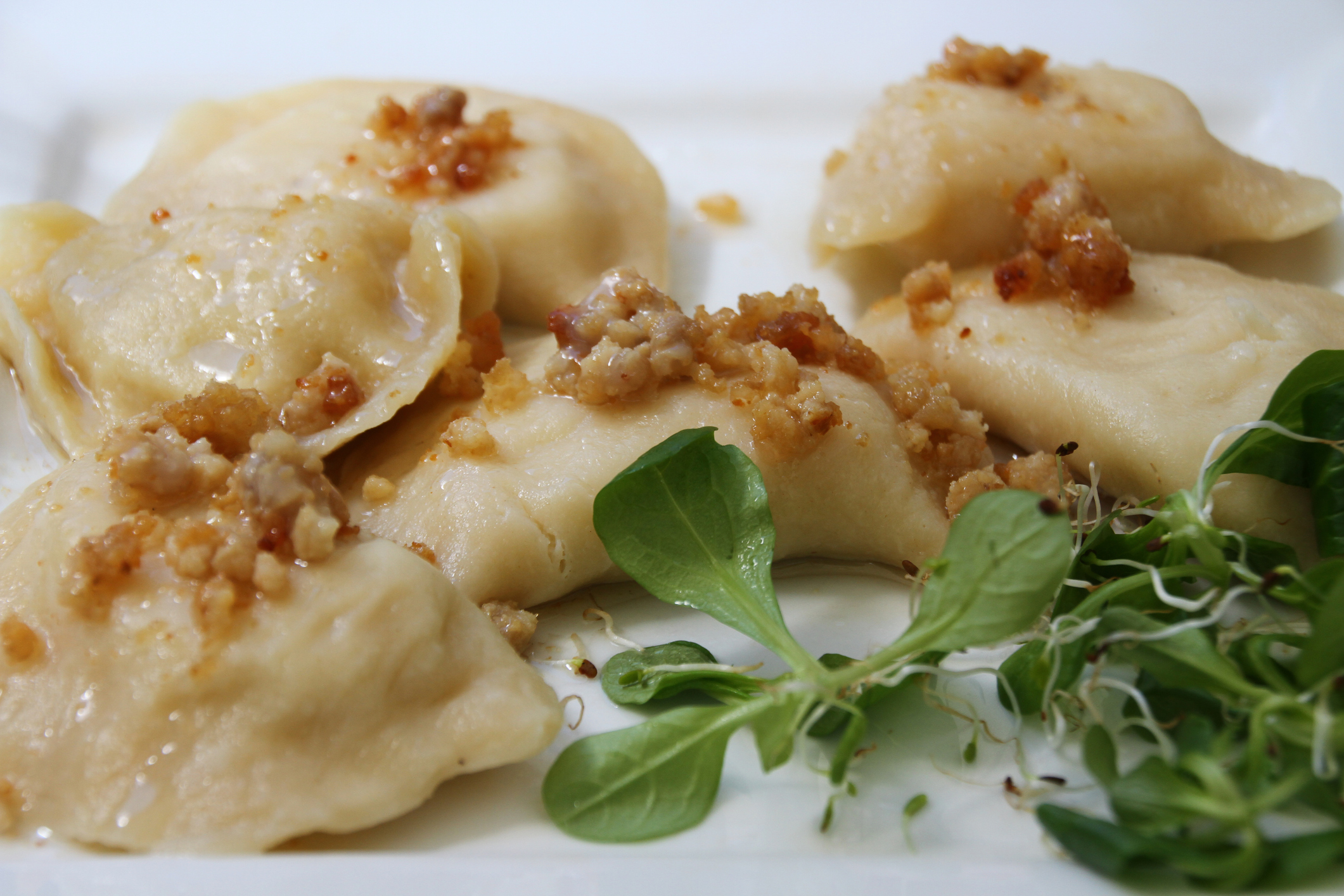 Closeup of Pierogies on a Plate, Poland