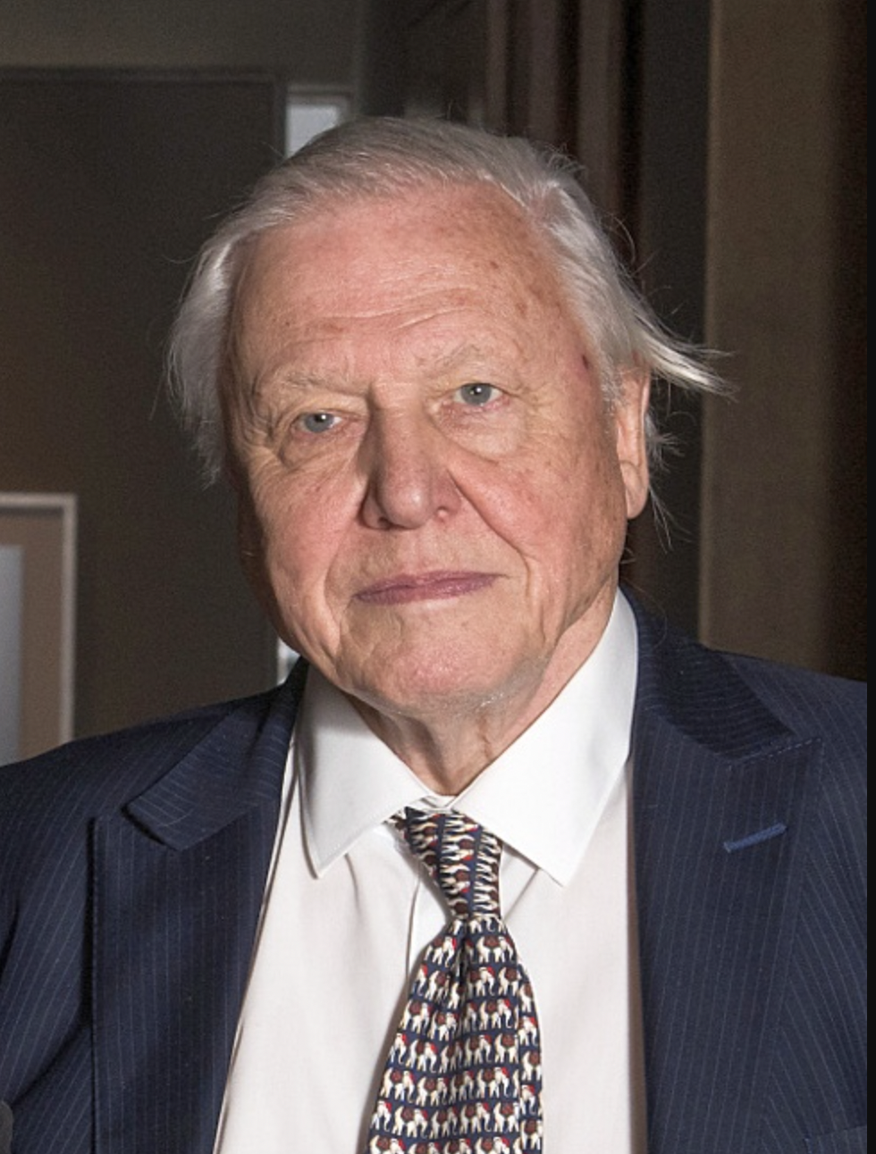 12. David Attenborough (age 98)