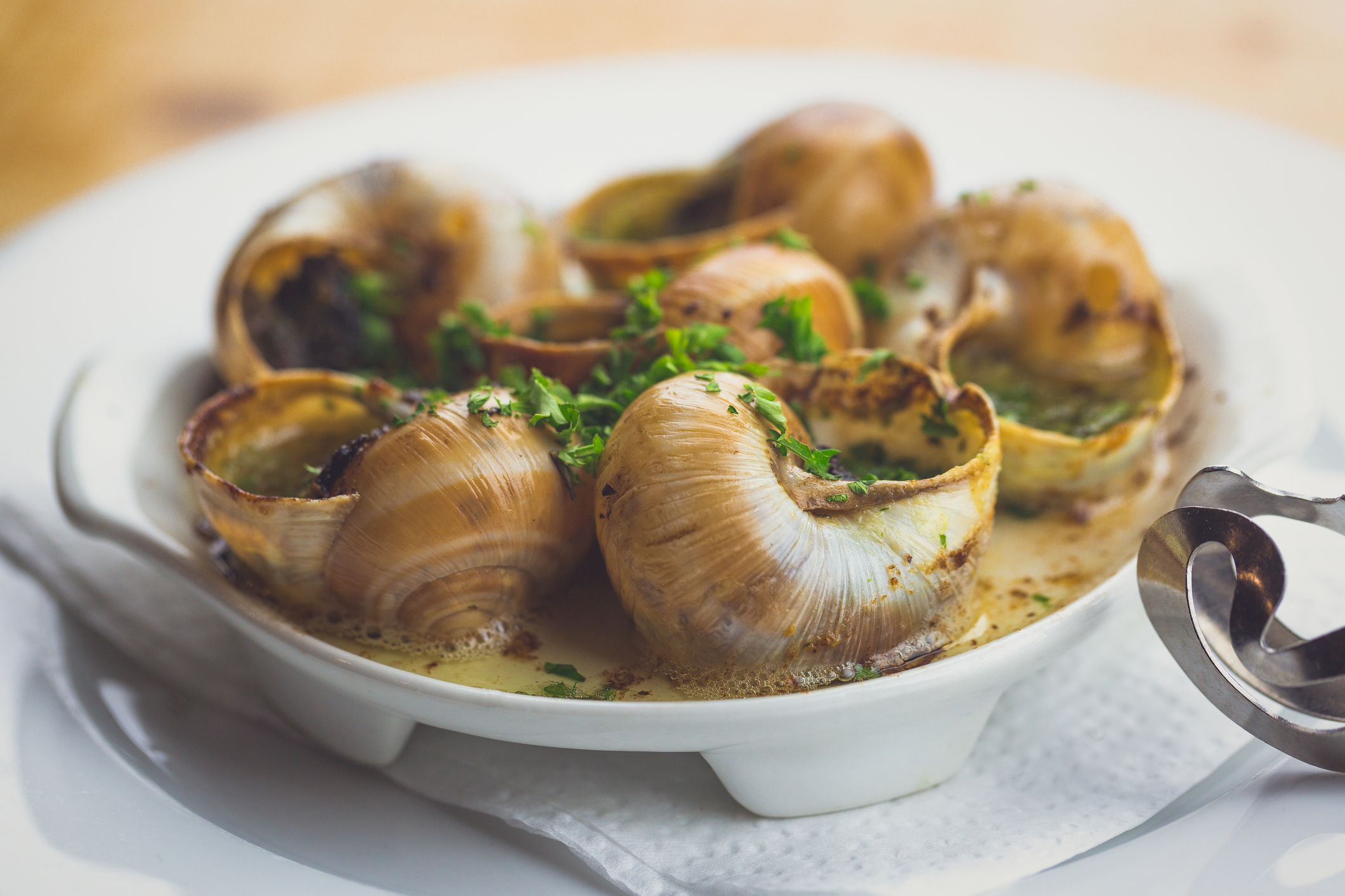 French-Style Escargot on a White Plate