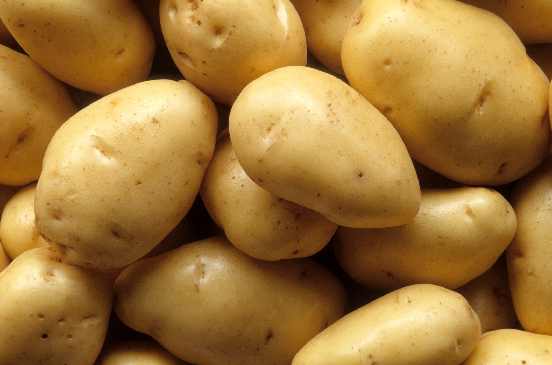 Fresh White Potatoes