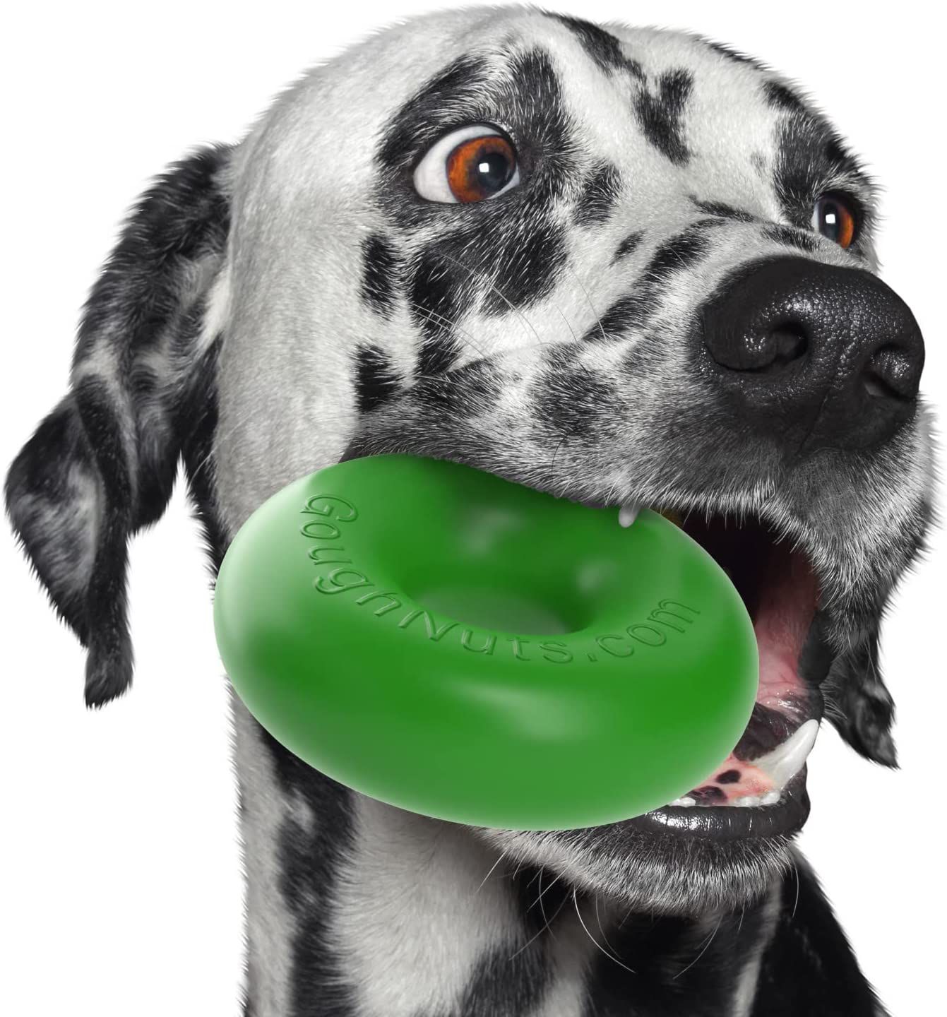 Goughnuts Medium, Green