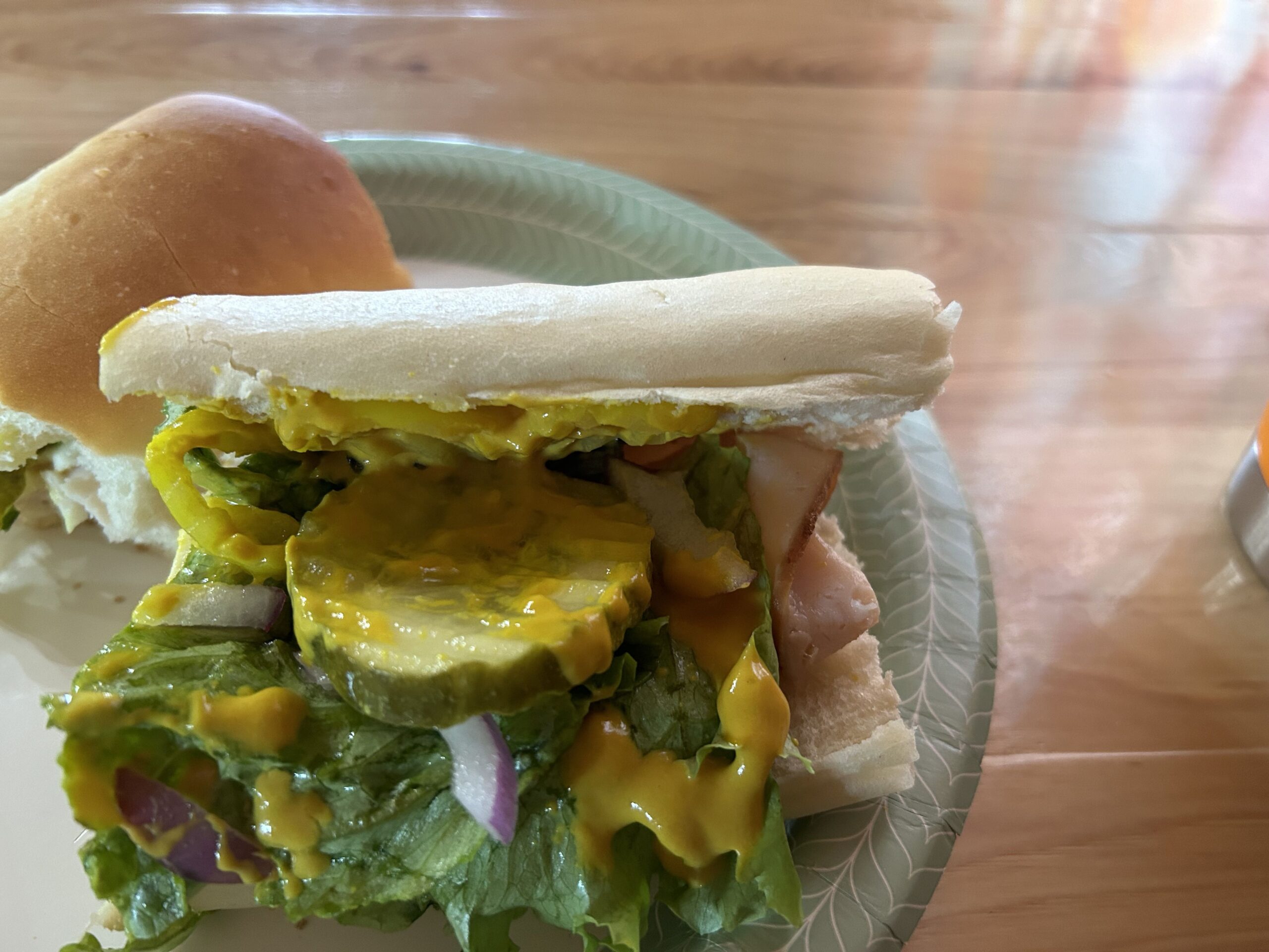 turkey sub