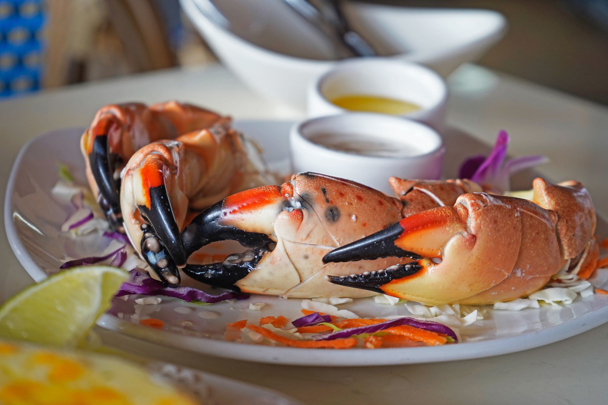 Stone Crab Served on a White Plate in a Restaurant, Miami