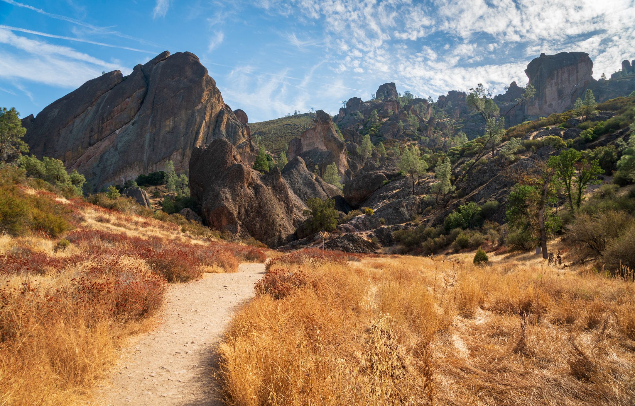 Pinnacles National Park in California