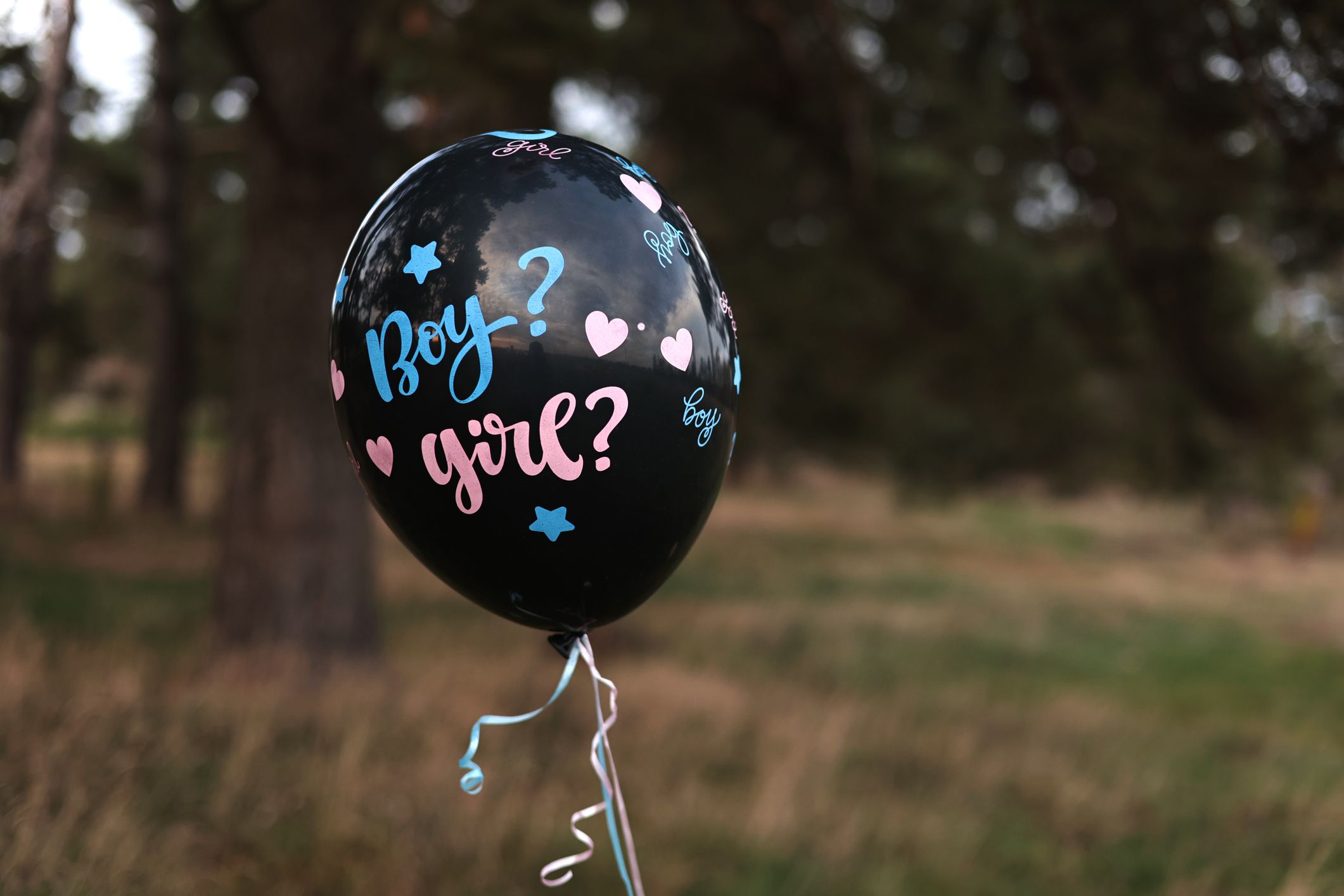 Celebration gender Party on nature. Black baloon with the inscription Boy and Girl moving in the air. Expectant parents are having a gender reveal party. Expecting baby. Baby shower.