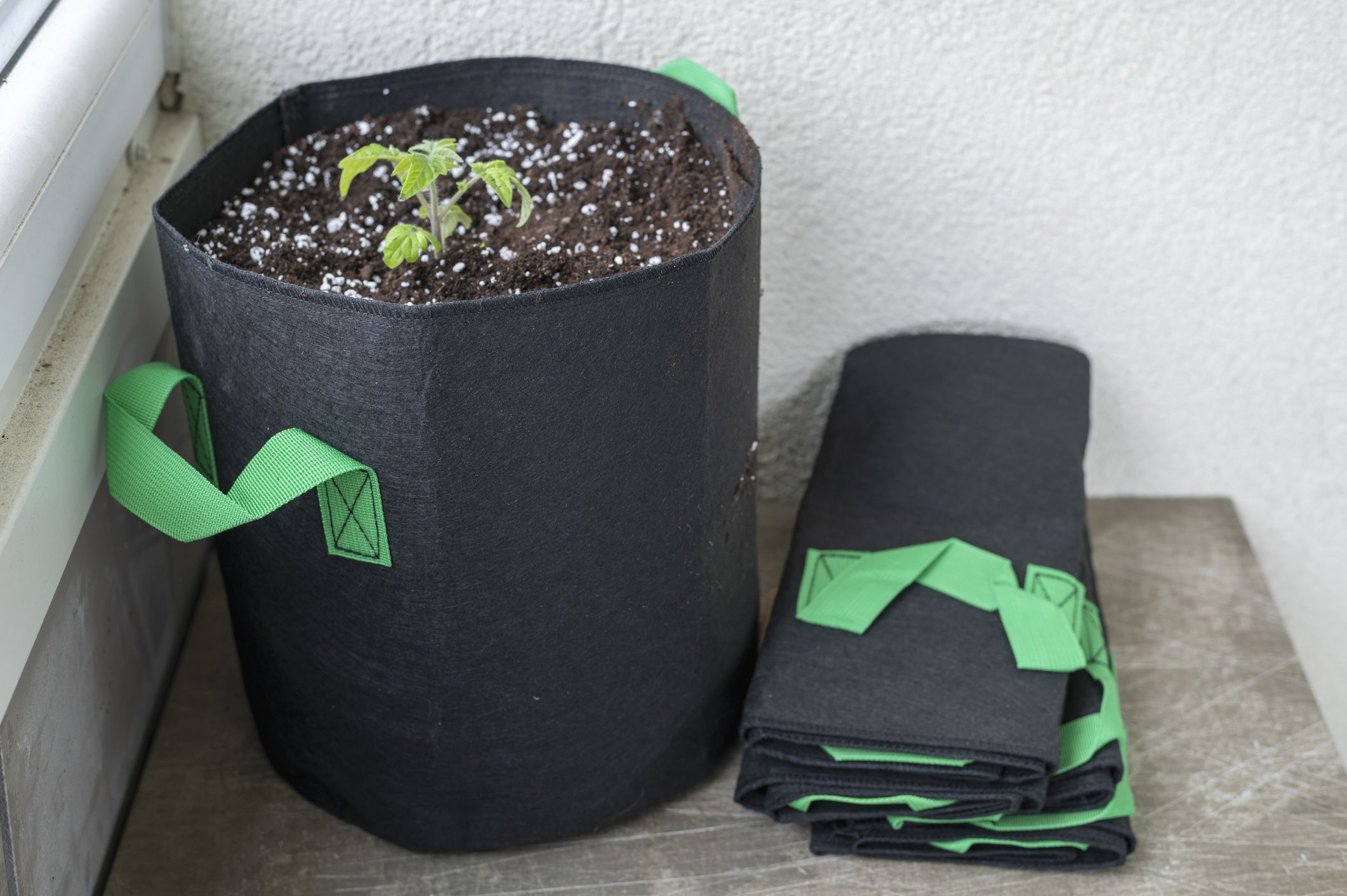 Fabric pot with soil and tomato plant and some empty fabric pots near. The porous fabric ensures sufficient aeration and oxygen supply for the substrate and the roots.
