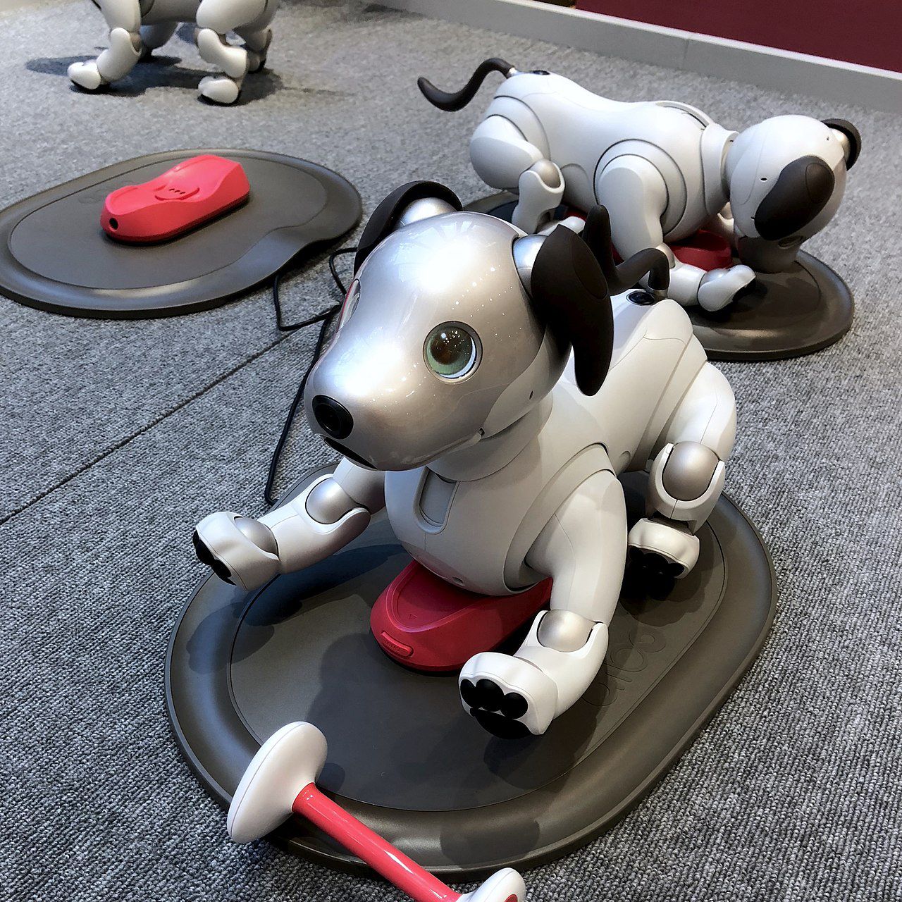 3. Sony Aibo
