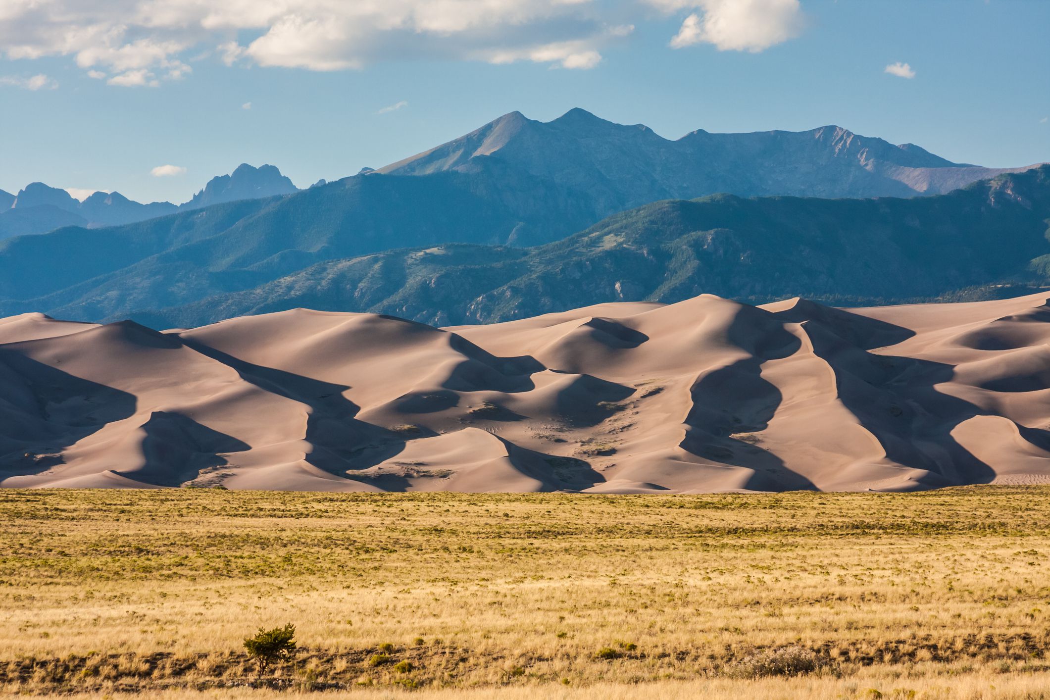 Alamosa Colorado