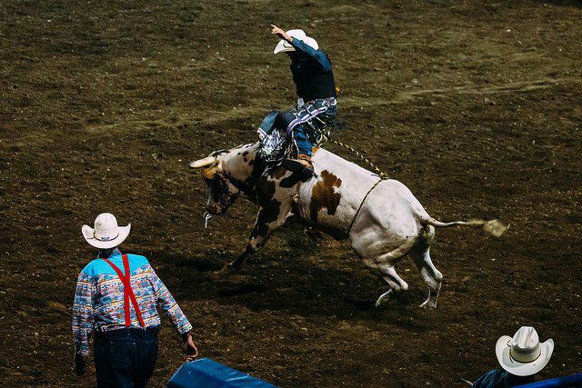 Cody Wyoming Rodeo