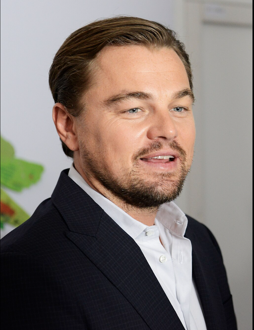 6. Leonardo DiCaprio: Star Wars Toys
