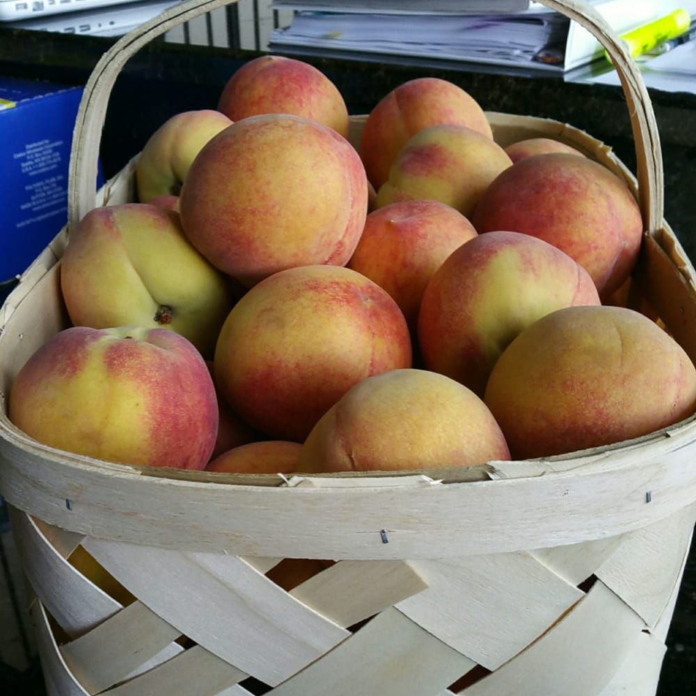 pearson farm peaches, fort valley, georgia