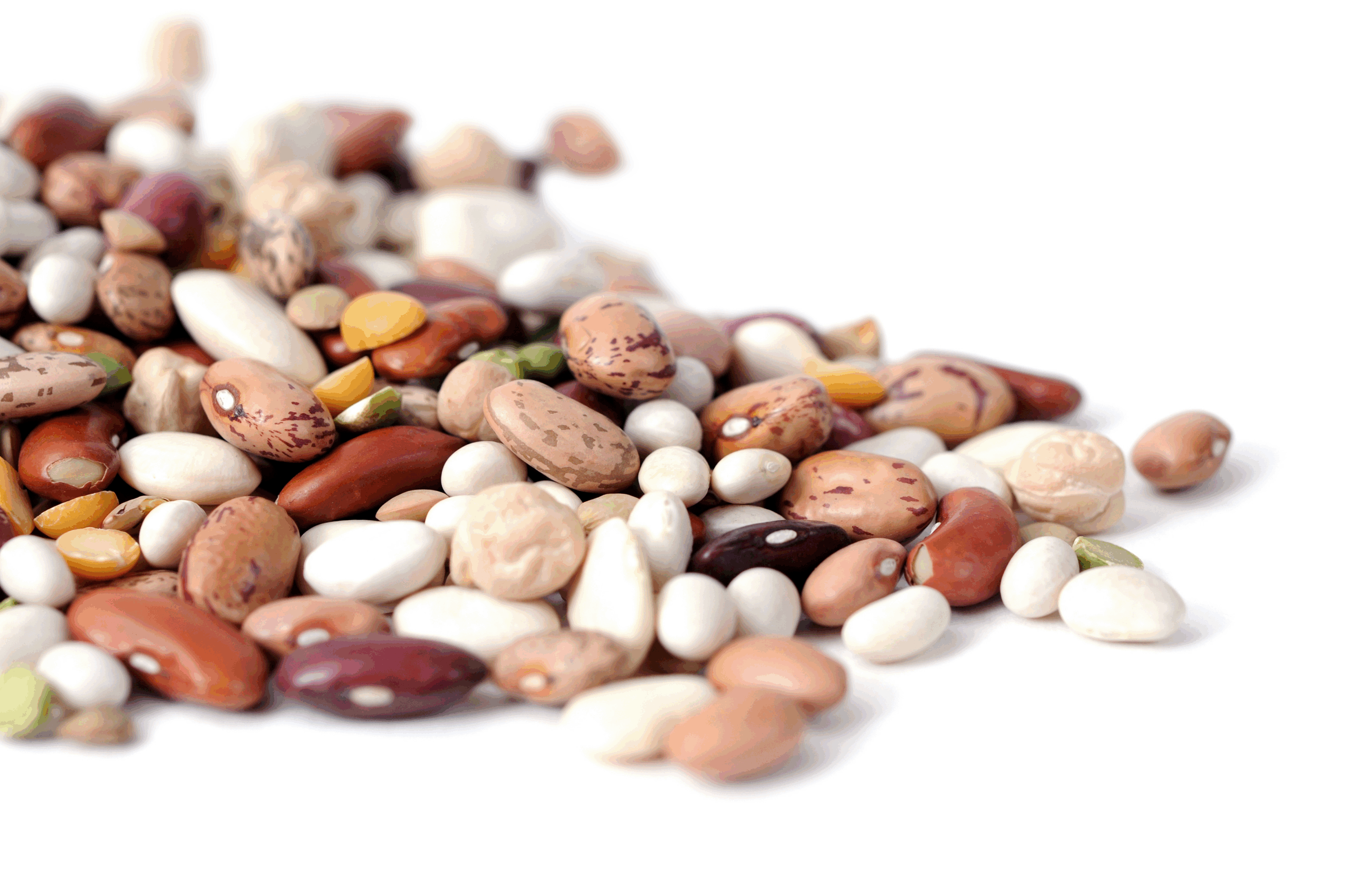 Pile of Dried Beans on a White Background