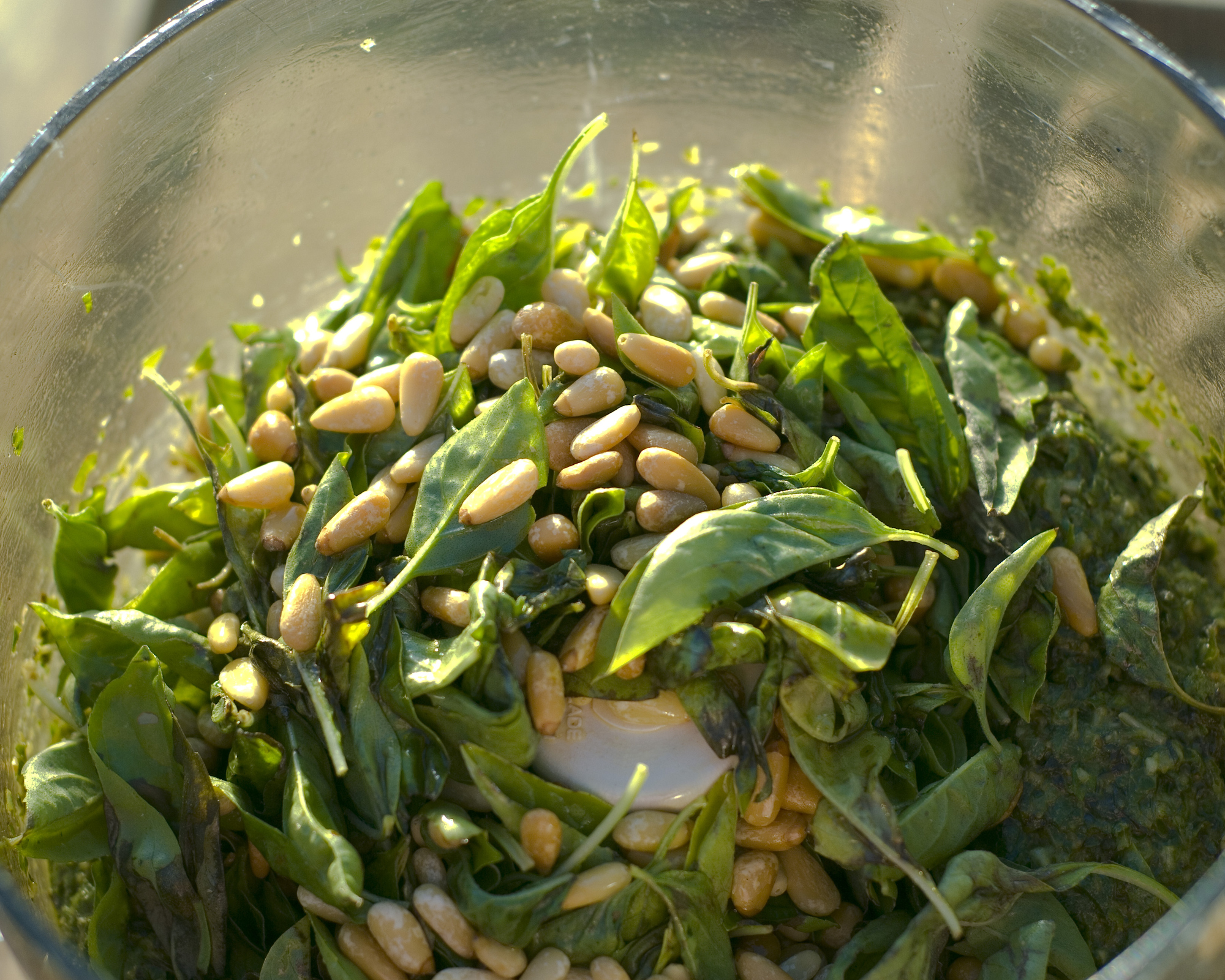 Bowl of Ingredients for Pesto Sauce