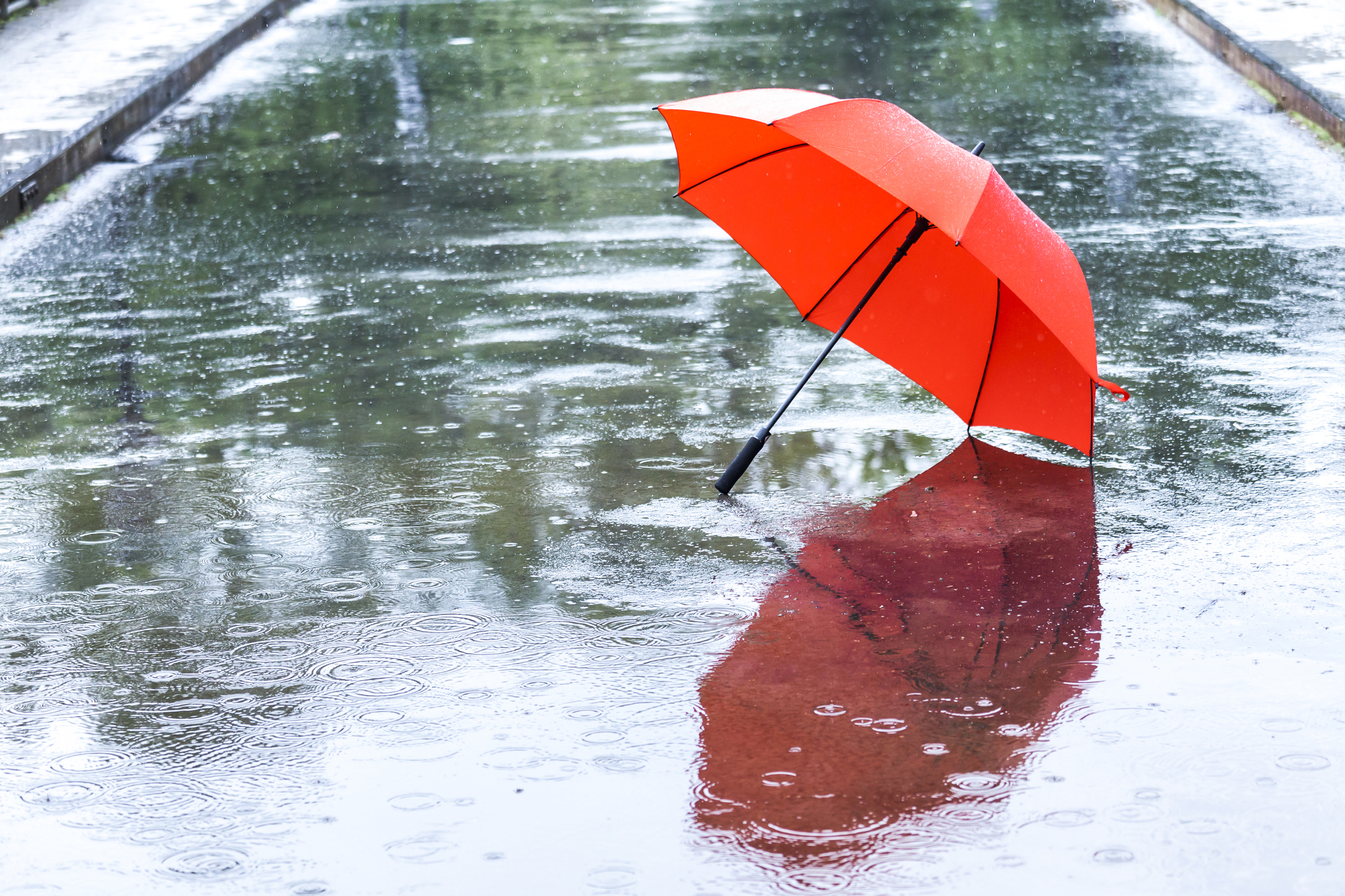 Dark orange umbrella, opened and laid on a road, during a light rain, reflection of trees and umbrella on the road from the rain
