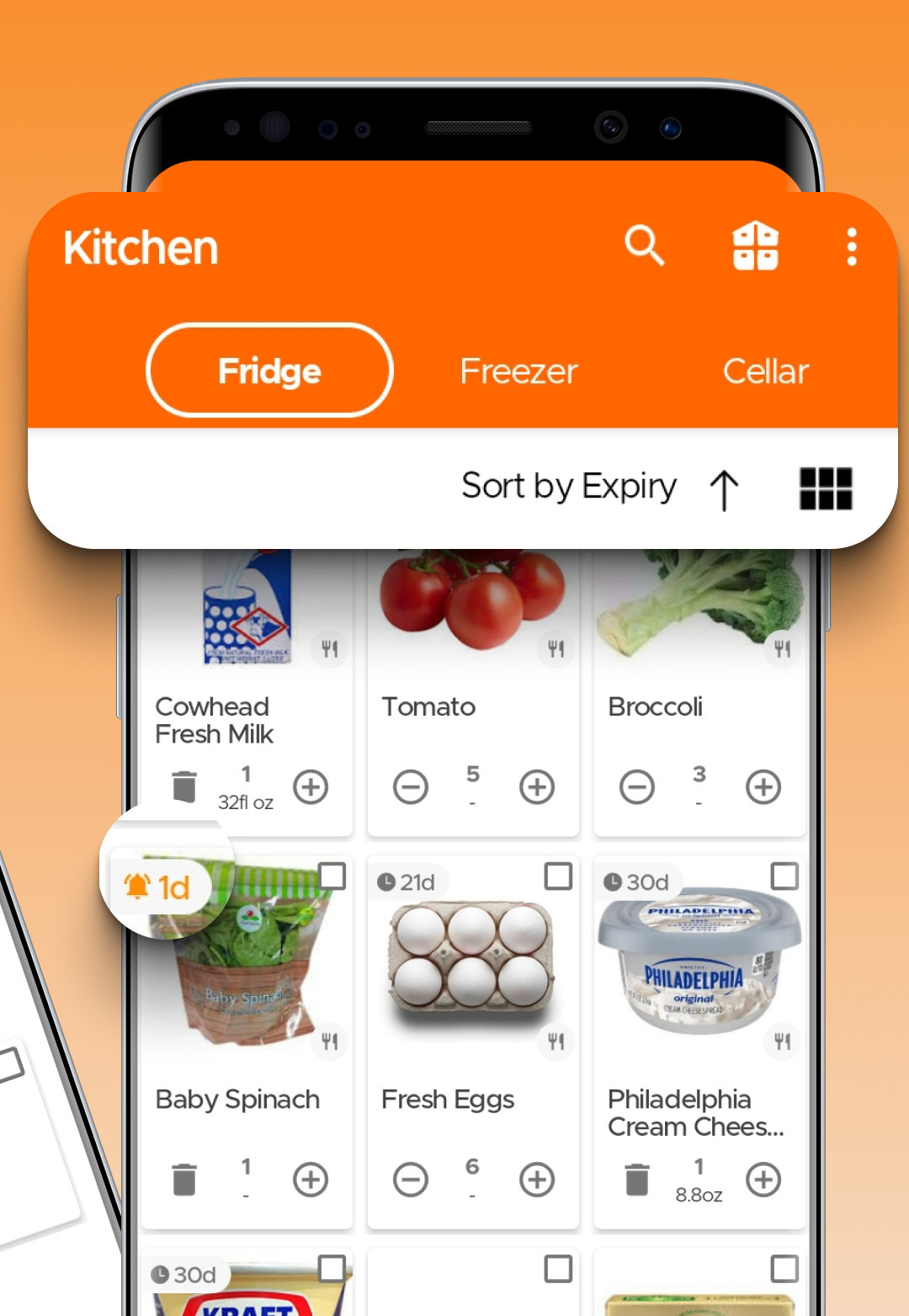 KITCHENPAL, 2024