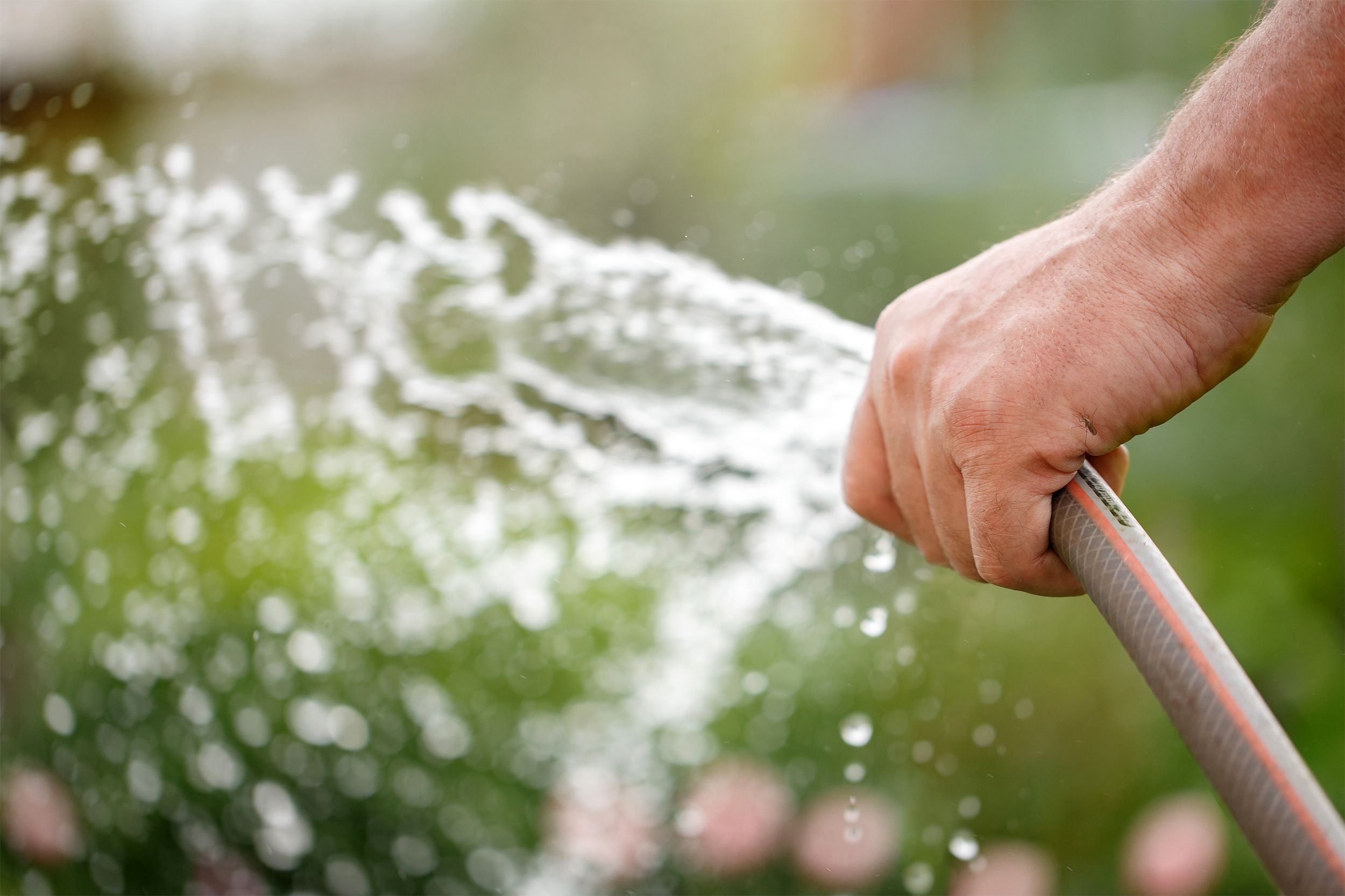 Water hose outside