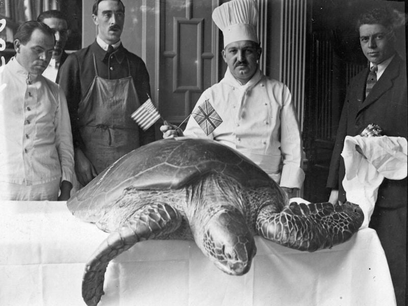 Turtle Soup Was a Presidential Favorite for the Holiday